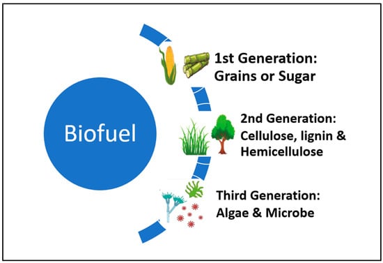 Energies | Free Full-Text | Sugarcane Biomass As A Source Of Biofuel ...