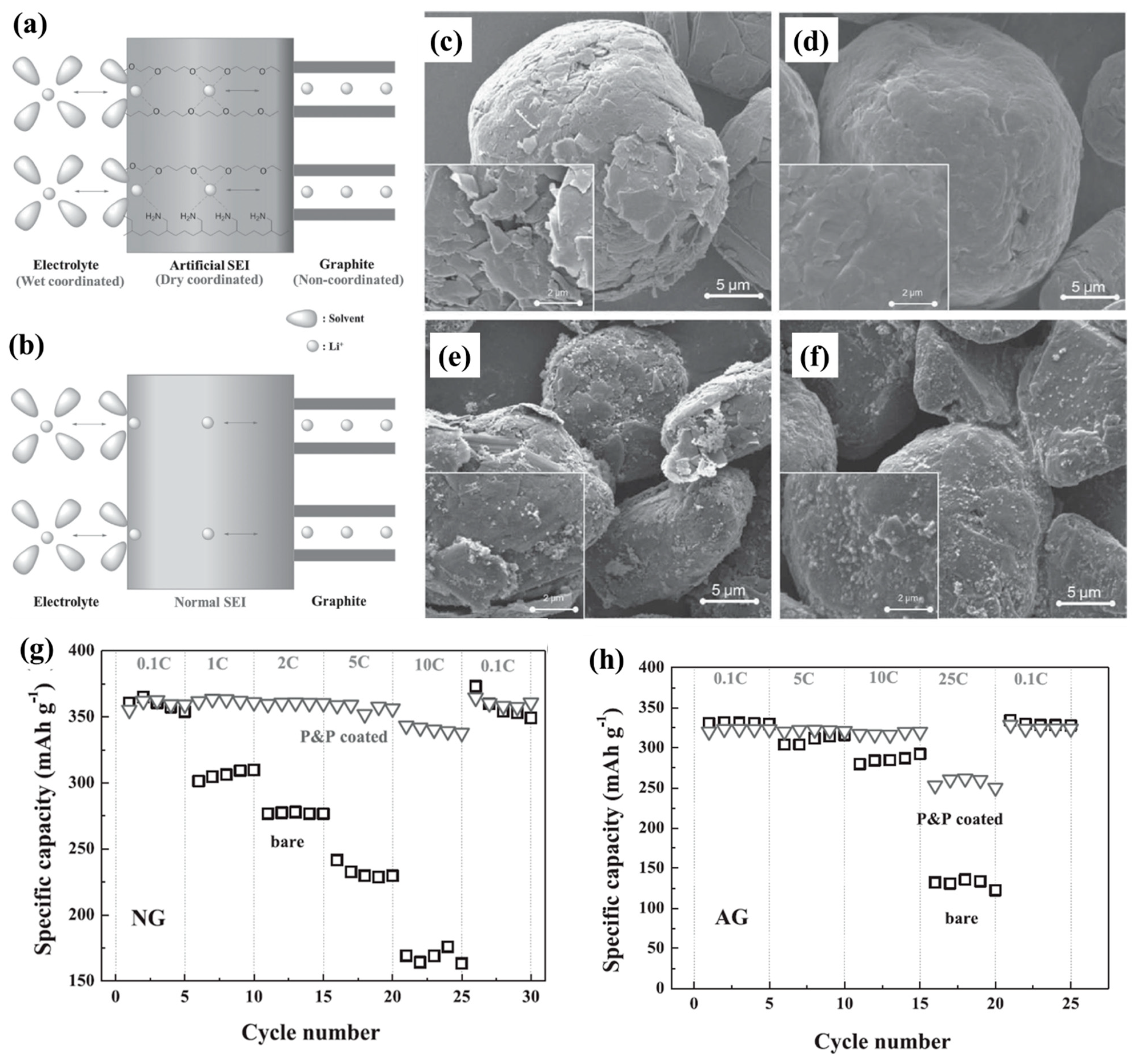 Energies 15 08791 g004 Energies 15 08791 g004