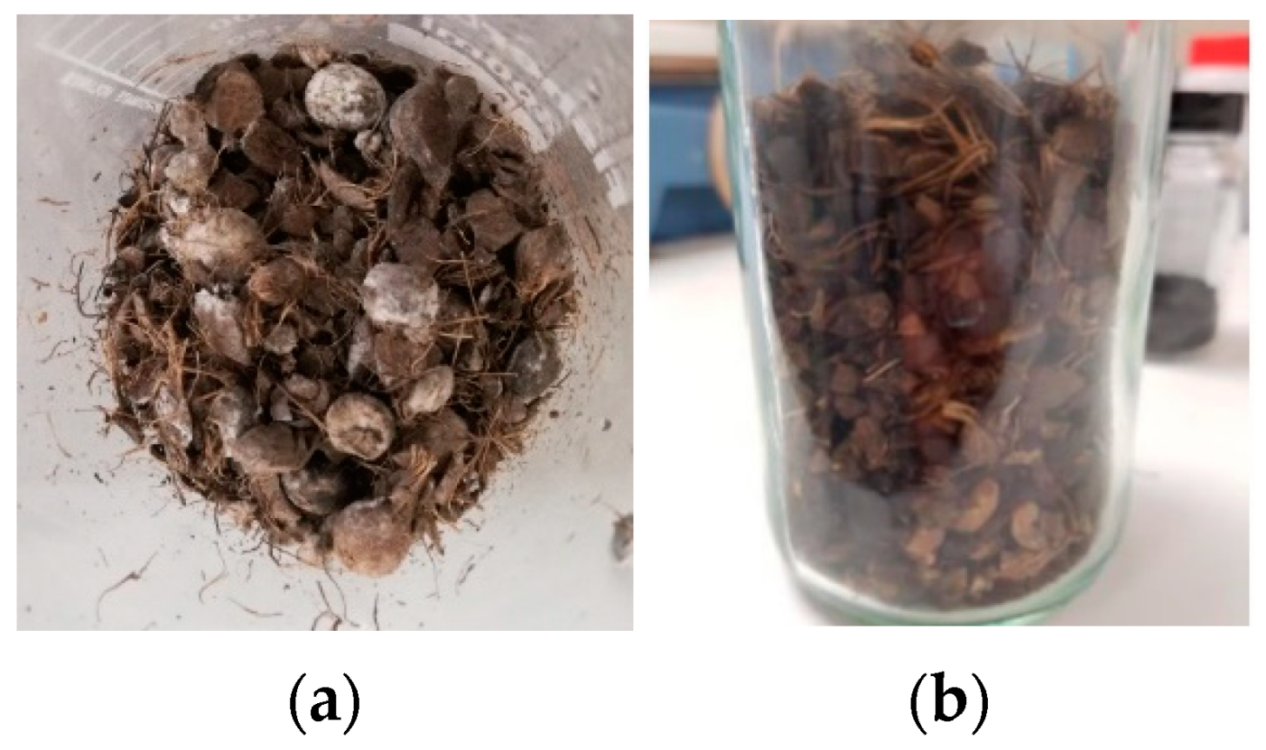 Energies 15 09160 g001