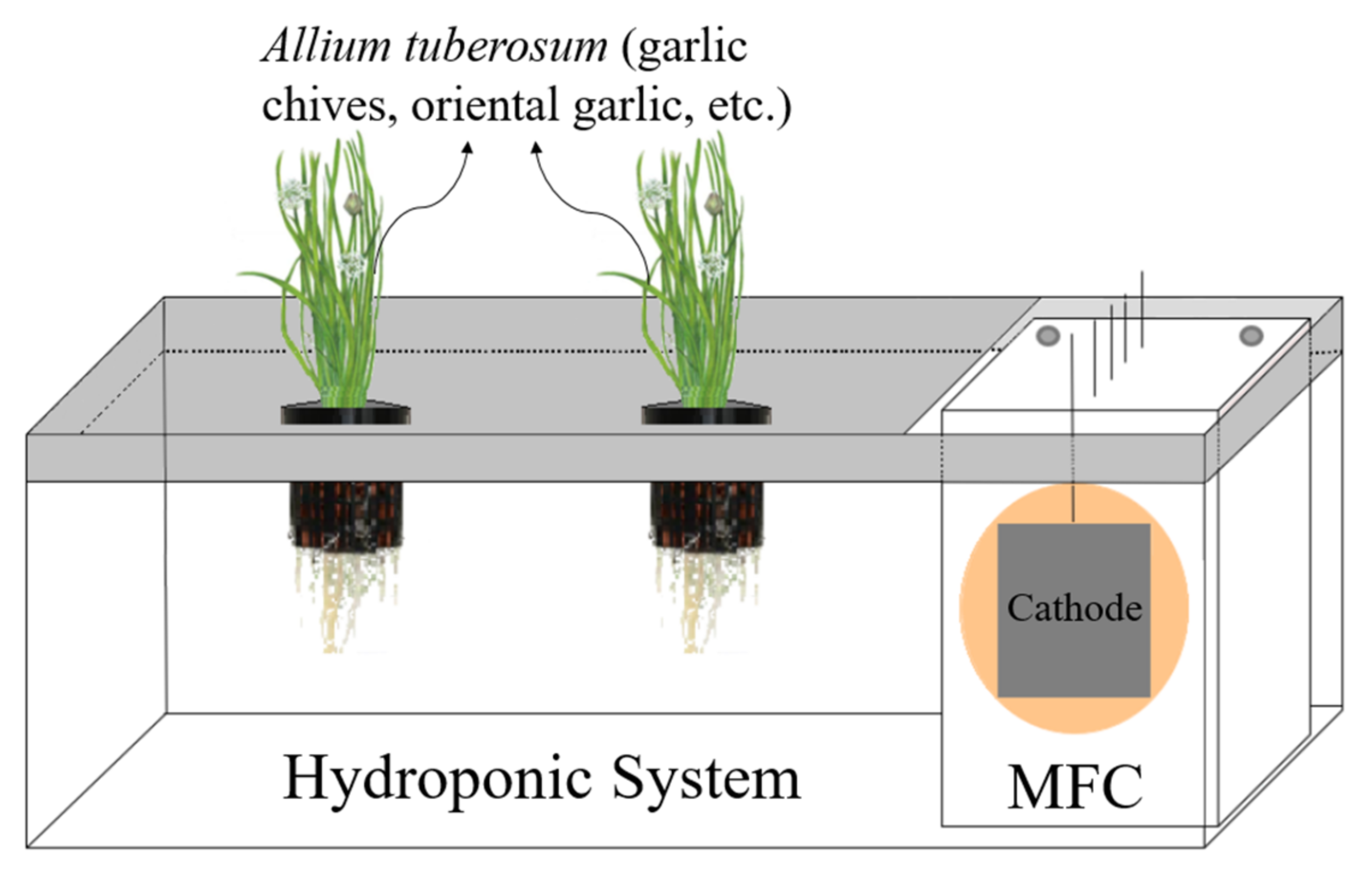 Energies 15 09211 g003