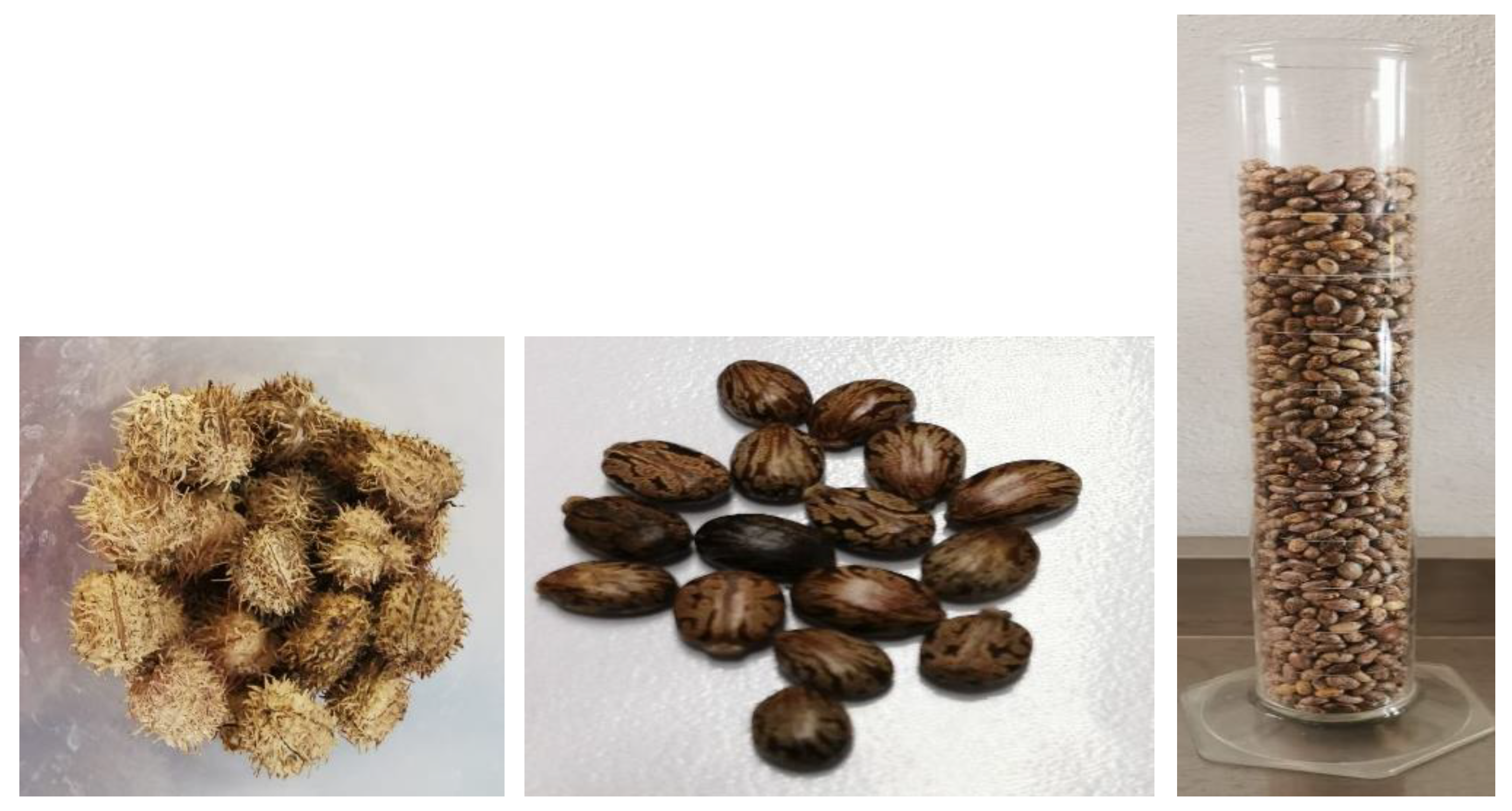 Energies 15 09463 g001