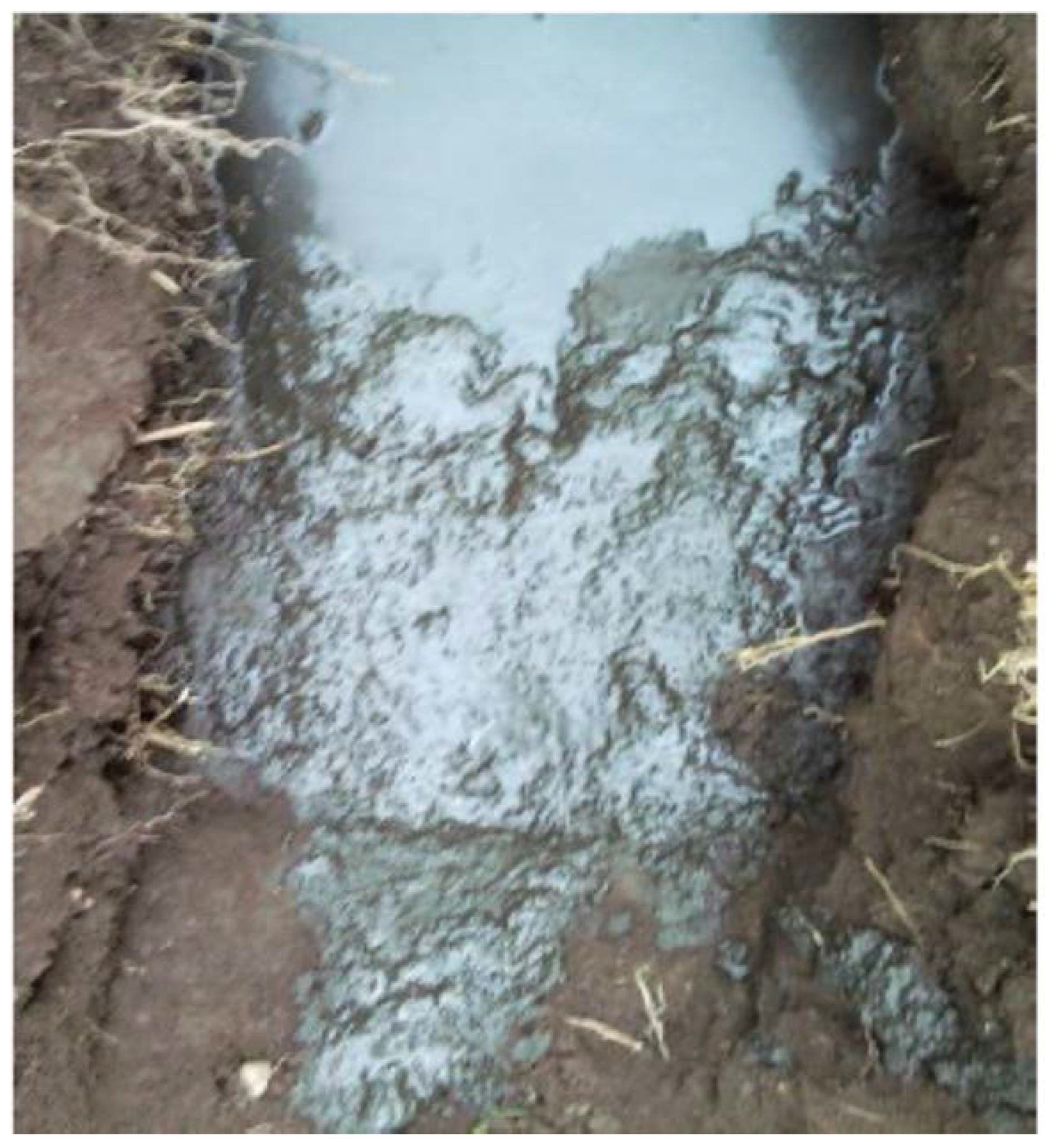 Energies 15 09624 g019