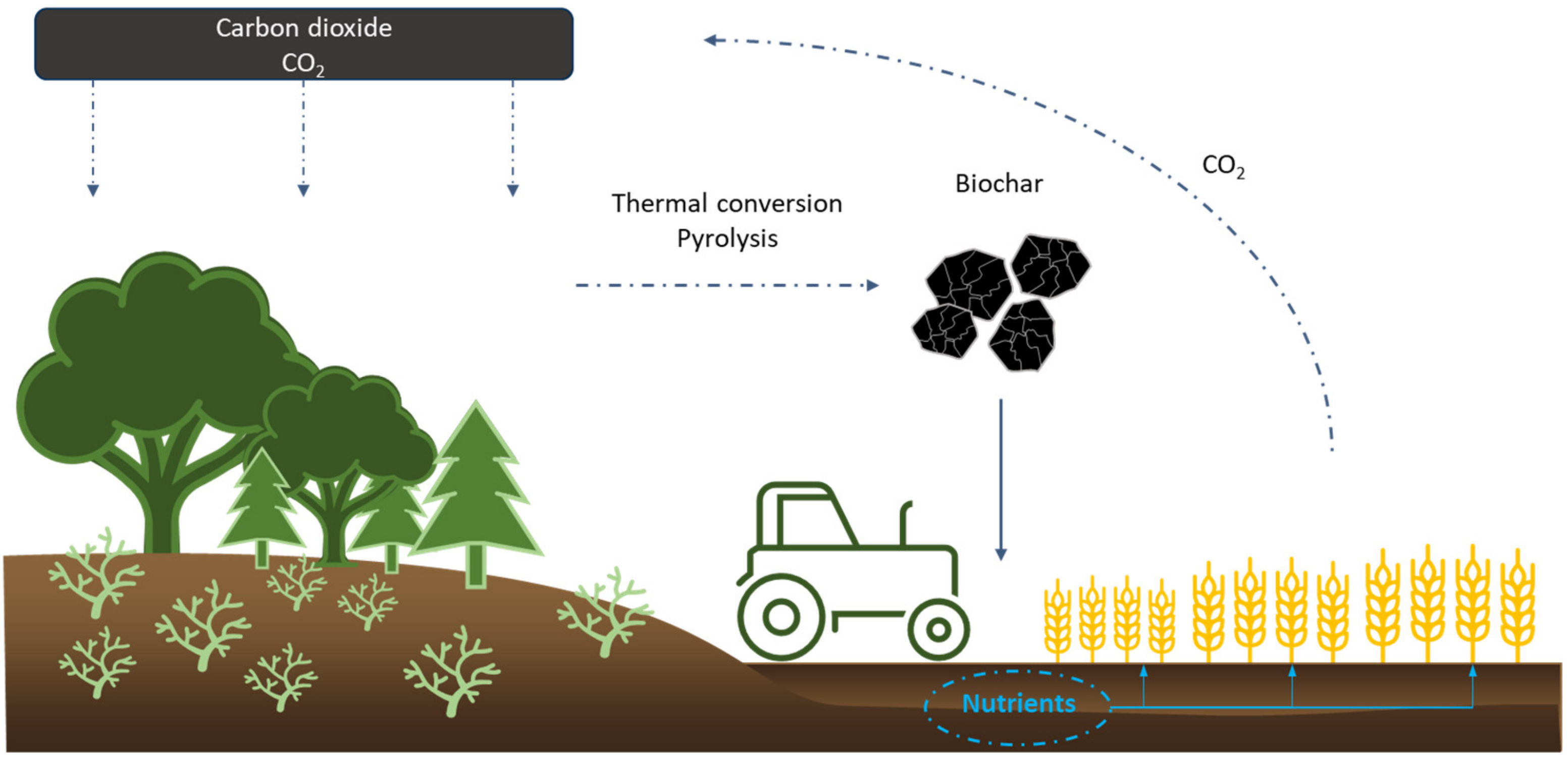 Energies | Free Full-Text | Actual Trends in the Usability of Biochar as a  High-Value Product of Biomass Obtained through Pyrolysis
