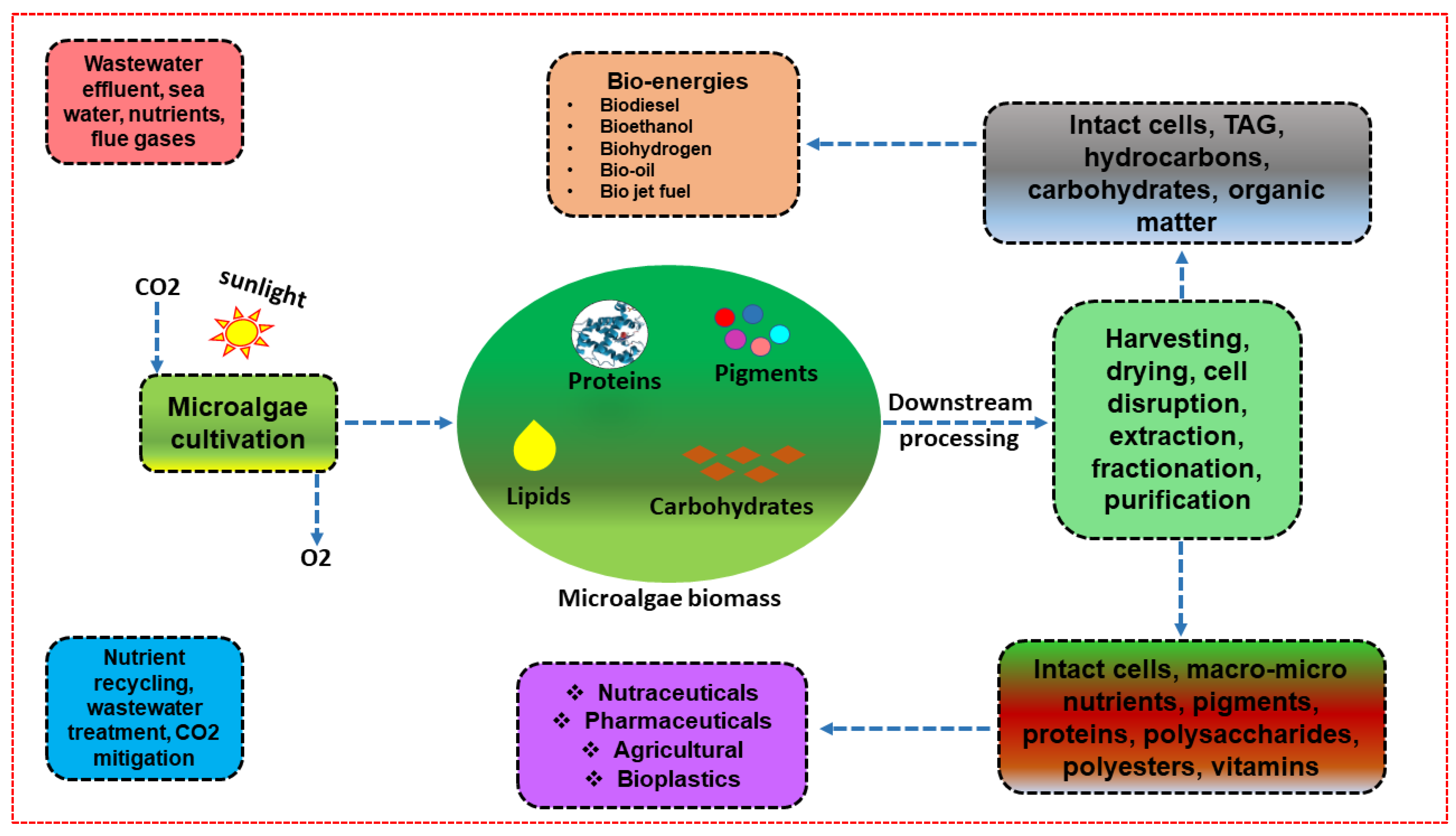 Energies | Free Full-Text | Exploring the Pivotal Significance of  Microalgae-Derived Sustainable Lipid Production: A Critical Review of Green  Bioenergy Development