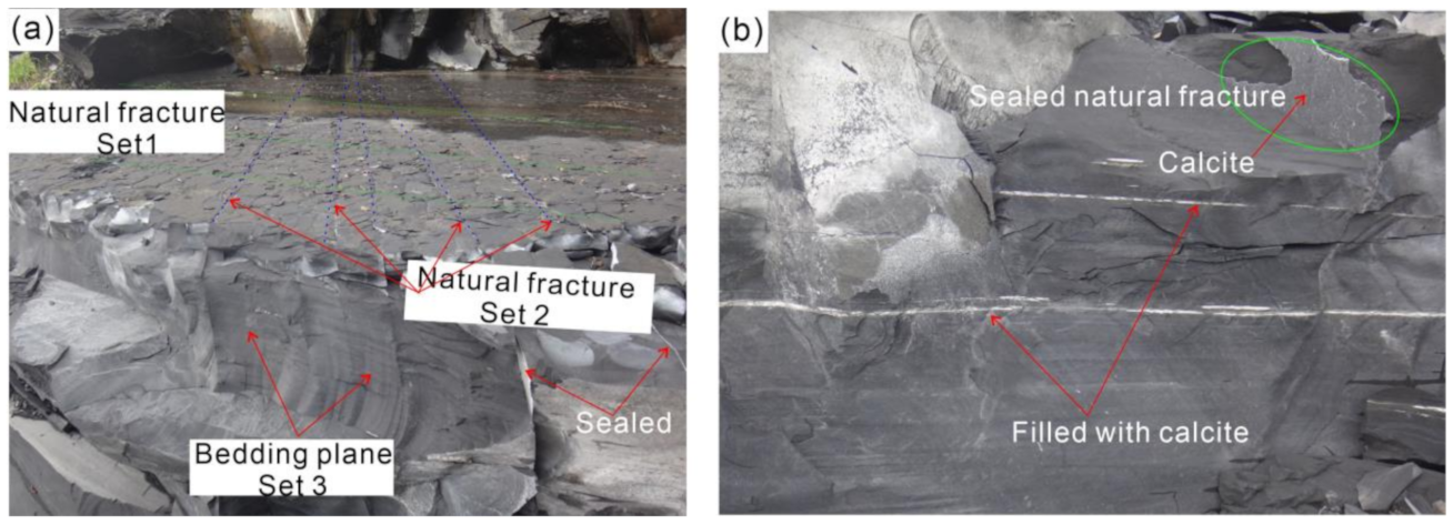 Energies 16 00612 g001