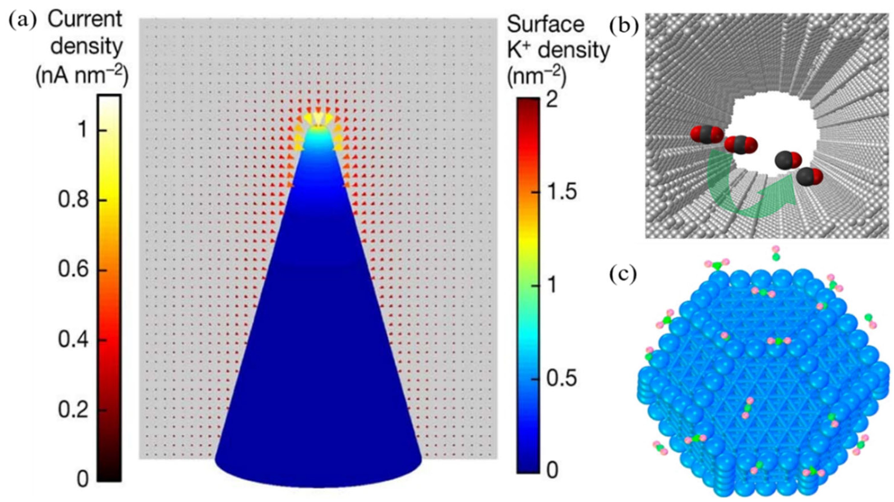 Energies 16 00616 g005