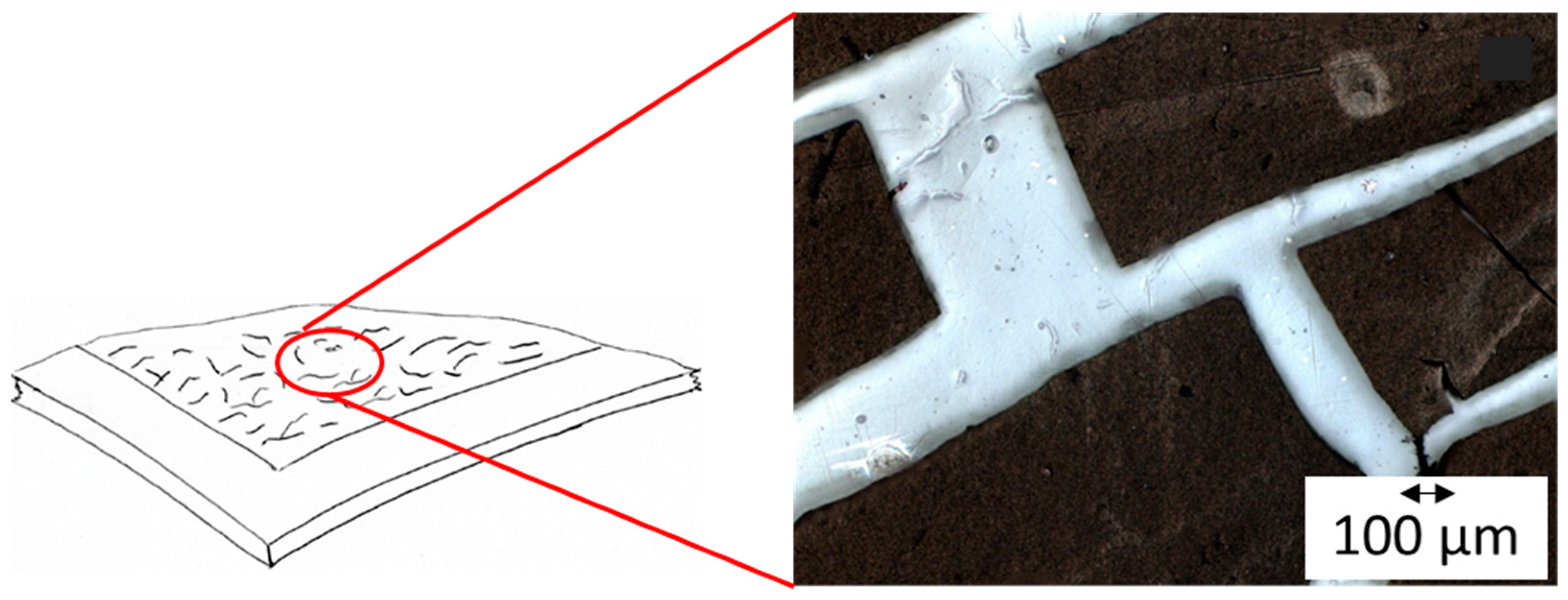 Energies 16 01115 g002