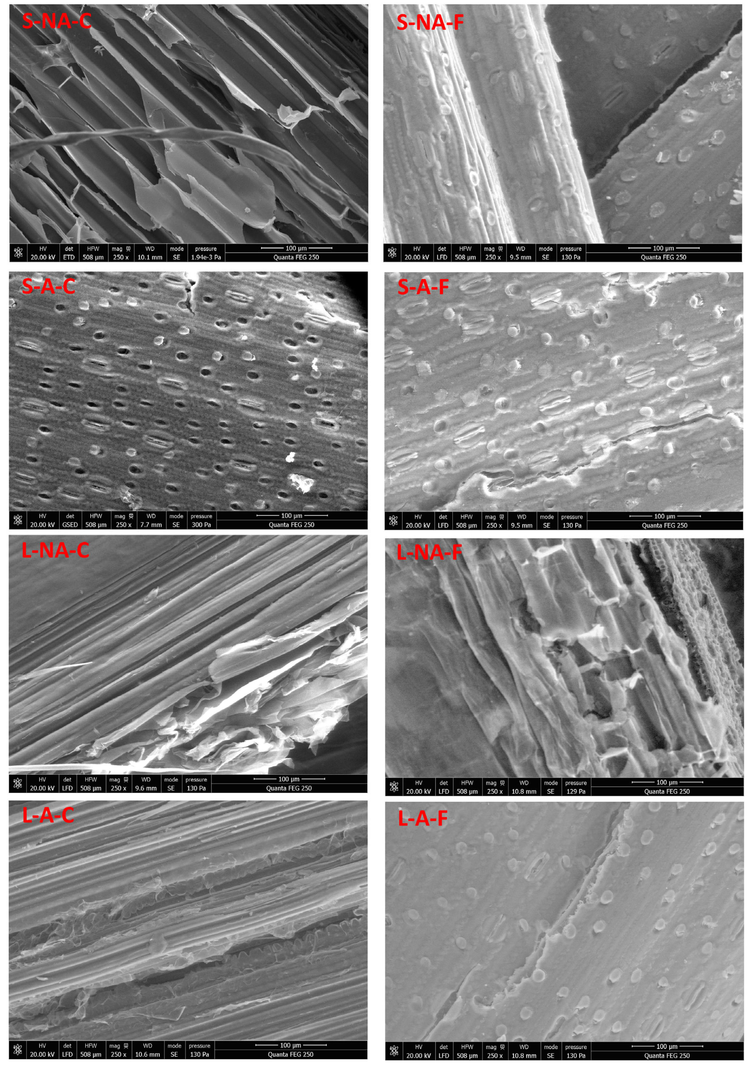 Energies 16 01146 g005