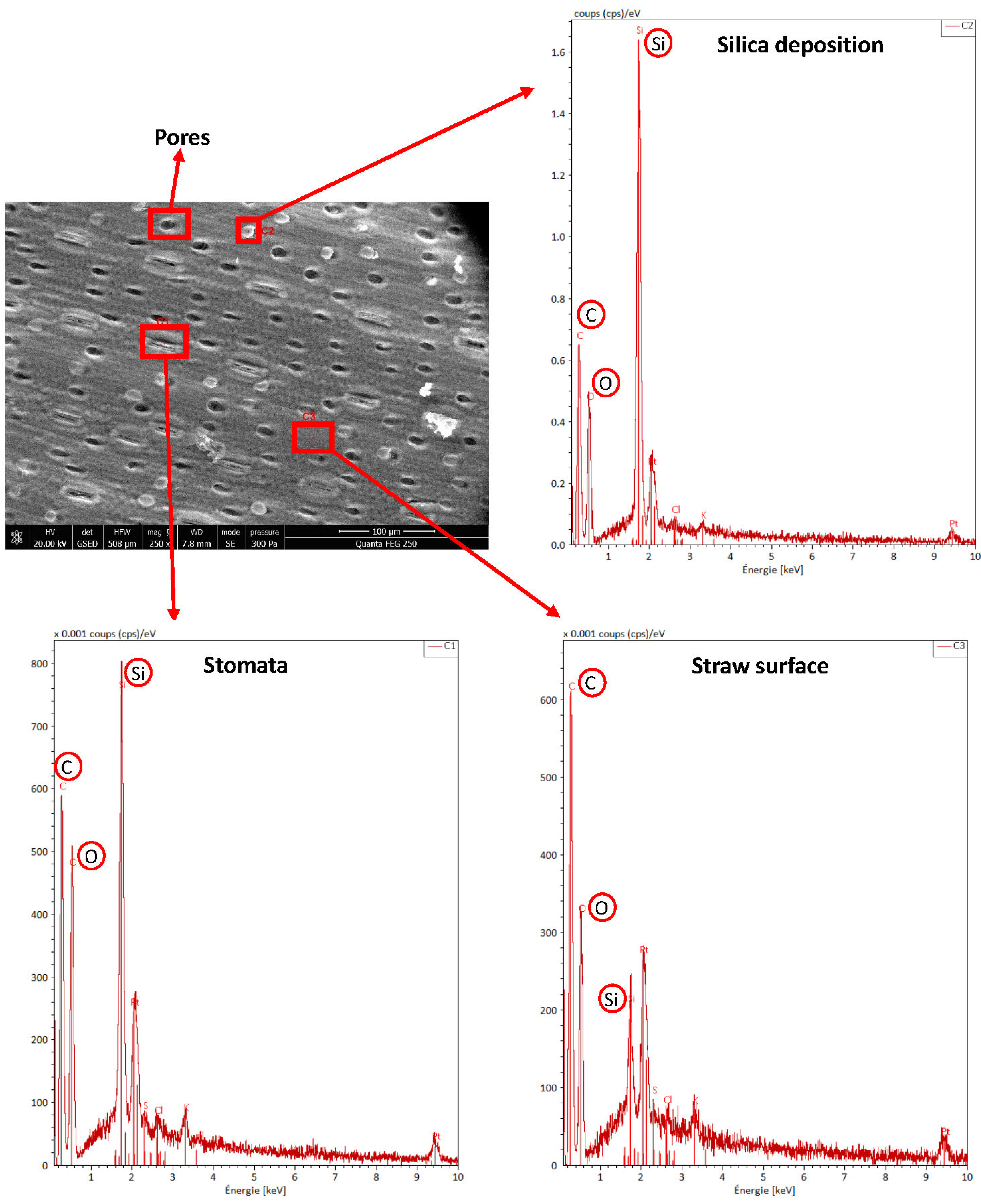 Energies 16 01146 g006