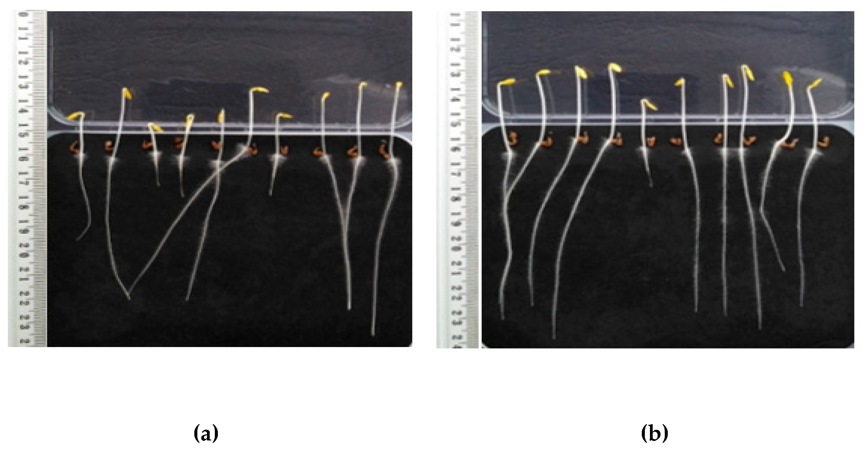 Energies 16 01283 g003 Energies 16 01283 g003