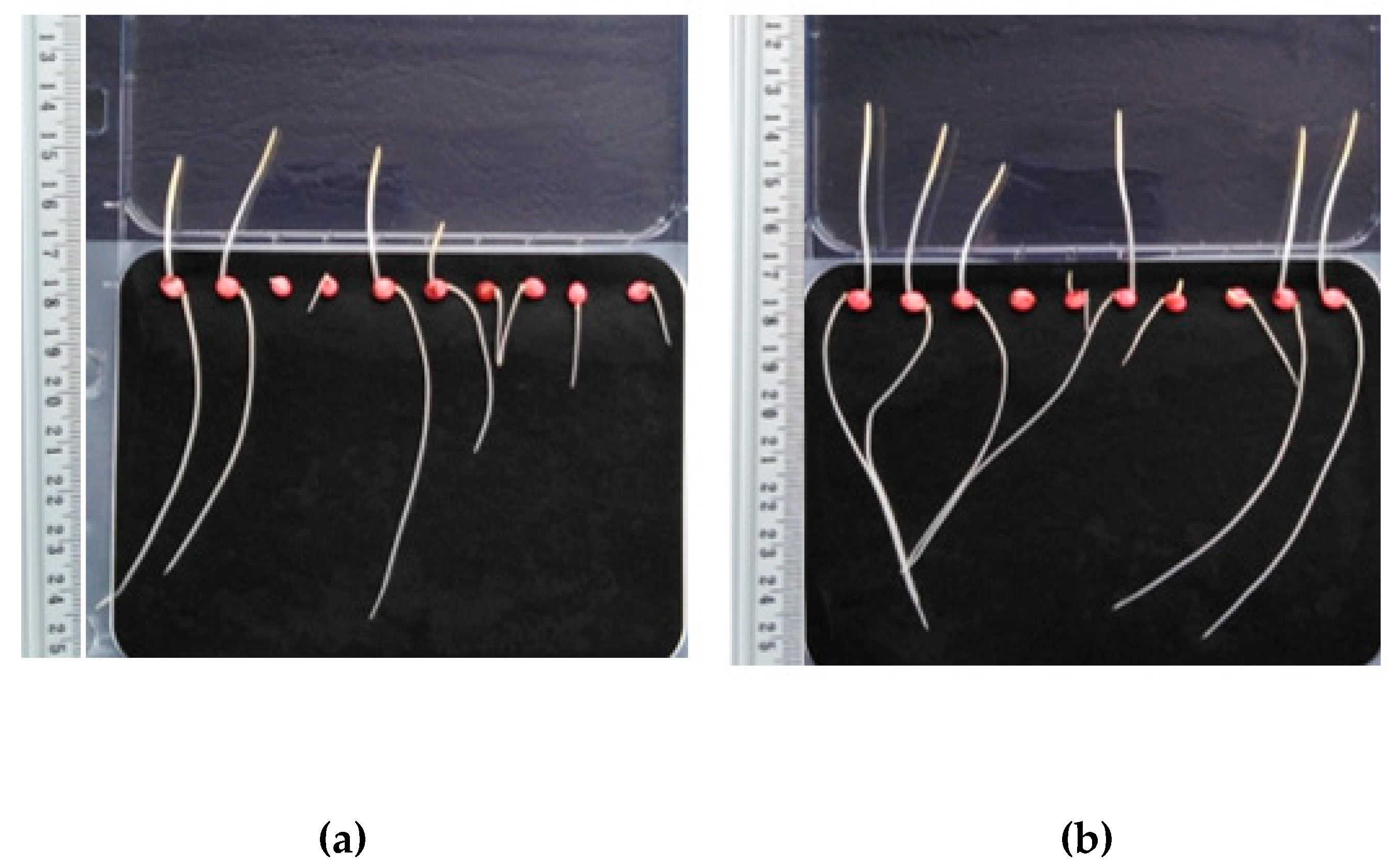 Energies 16 01283 g005 Energies 16 01283 g005