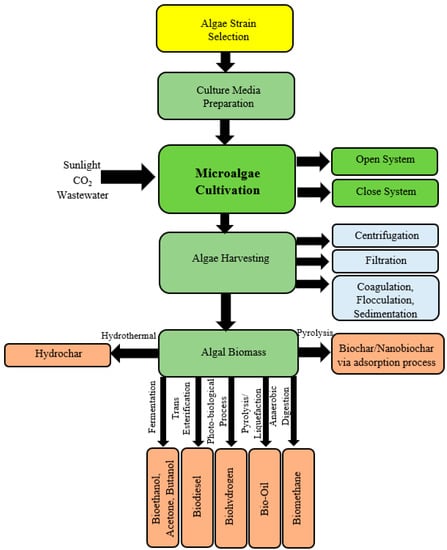 Energies Free Full Text Microalgal Carbon Dioxide Co2 Capture And Utilization From The 