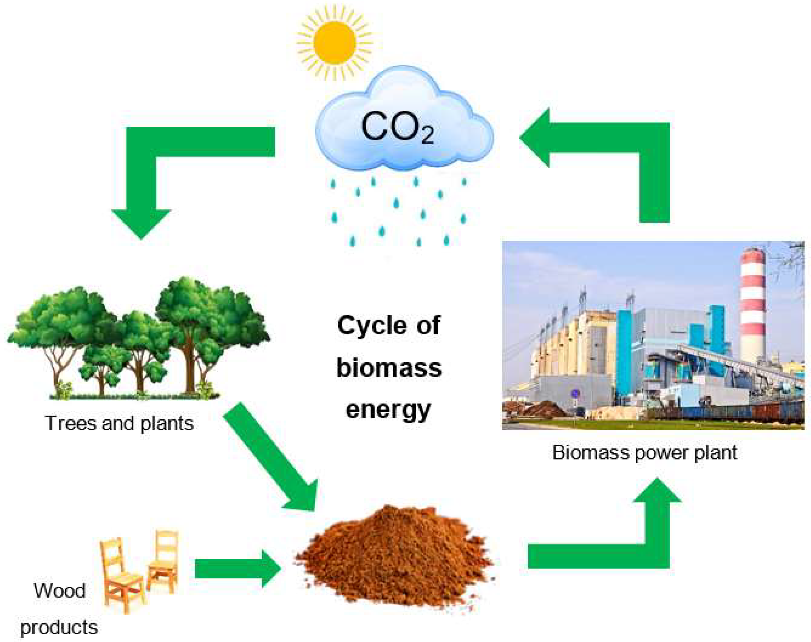 Energies Free FullText Potential Use of Industrial Biomass Waste
