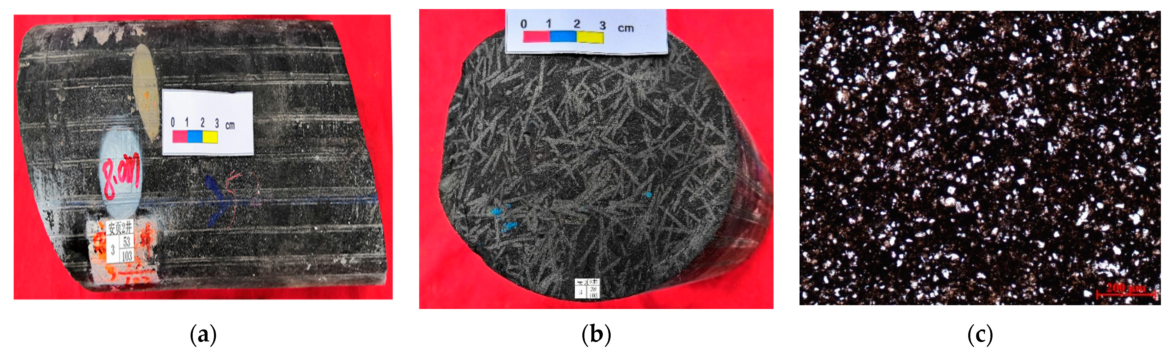 Energies 16 02166 g003 Energies 16 02166 g003
