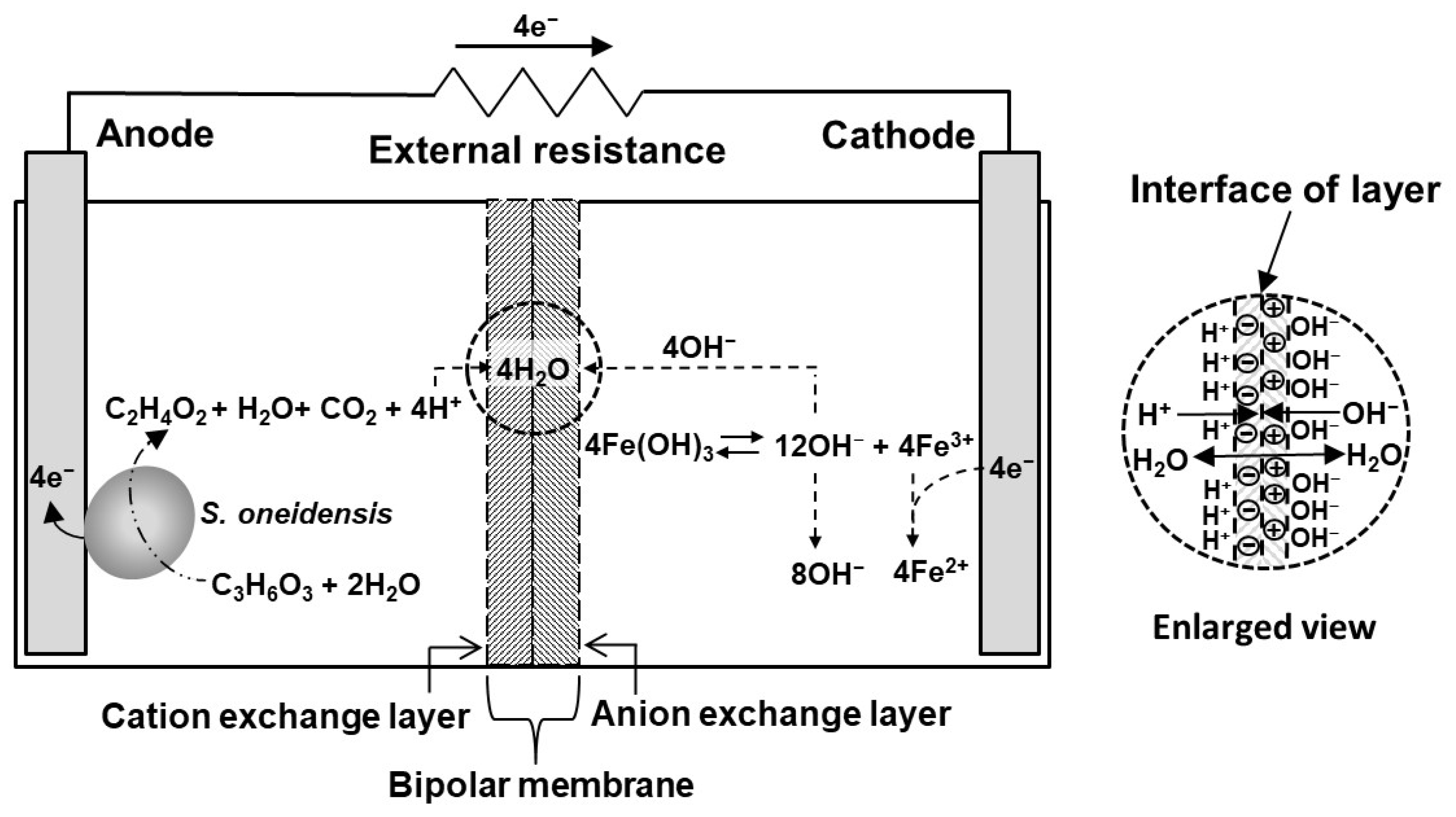 Energies 16 02527 g004
