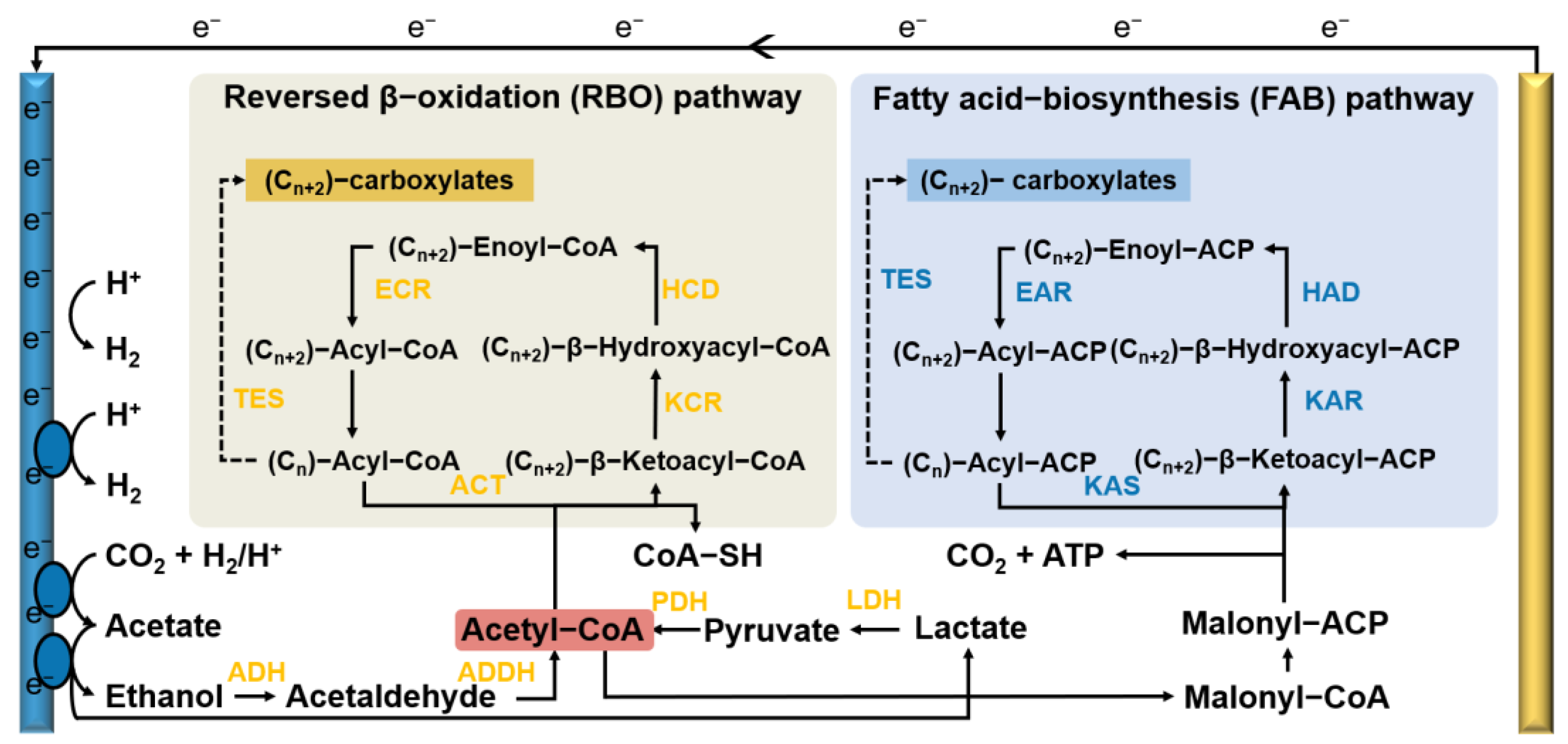 Energies 16 02571 g002