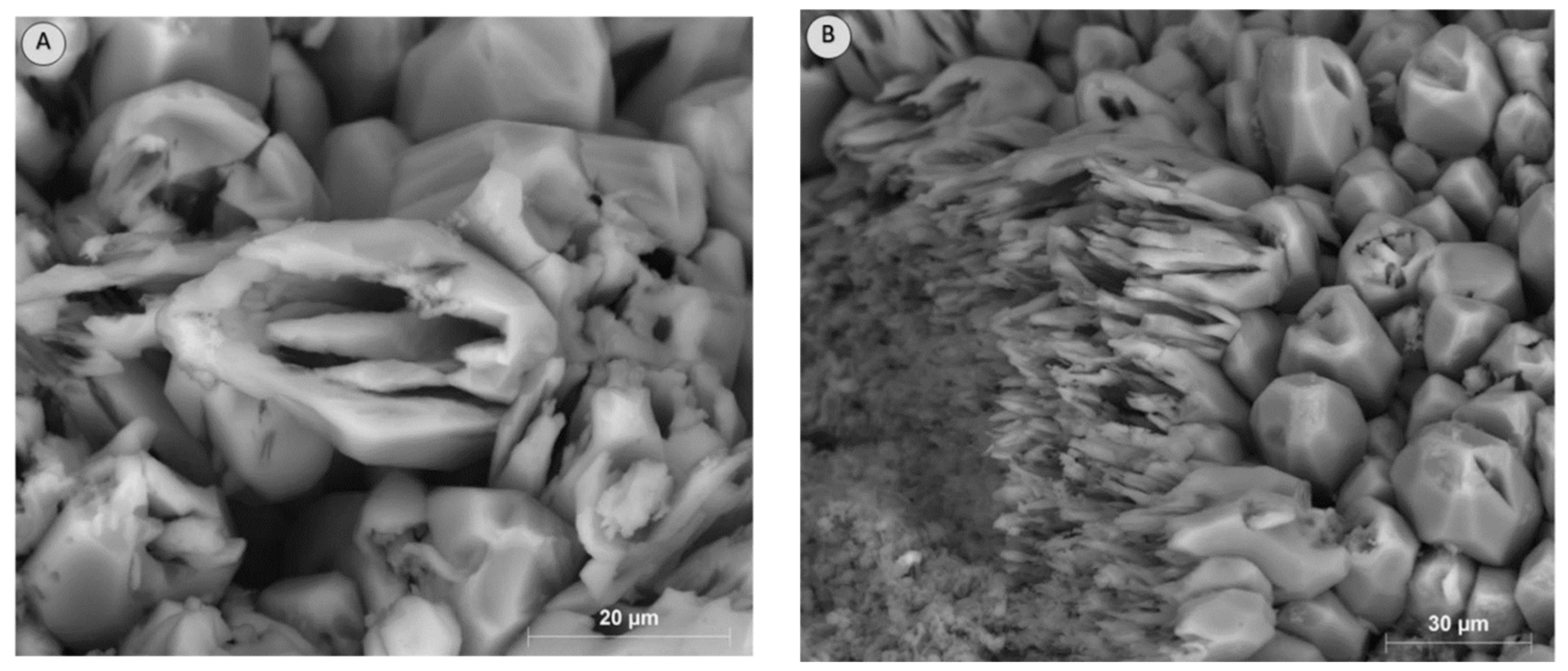 Energies 16 02821 g003