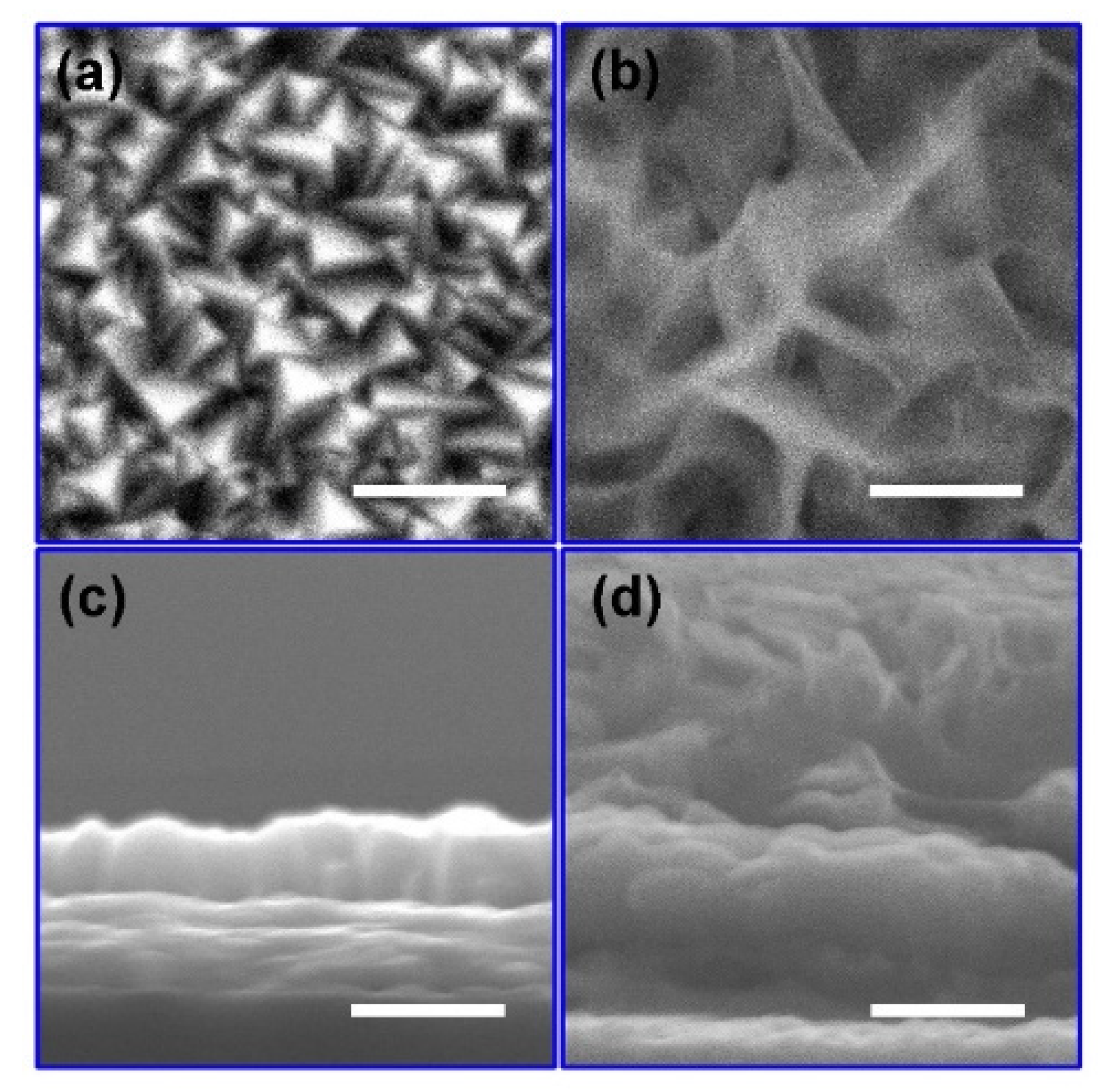 Energies 16 03231 g001