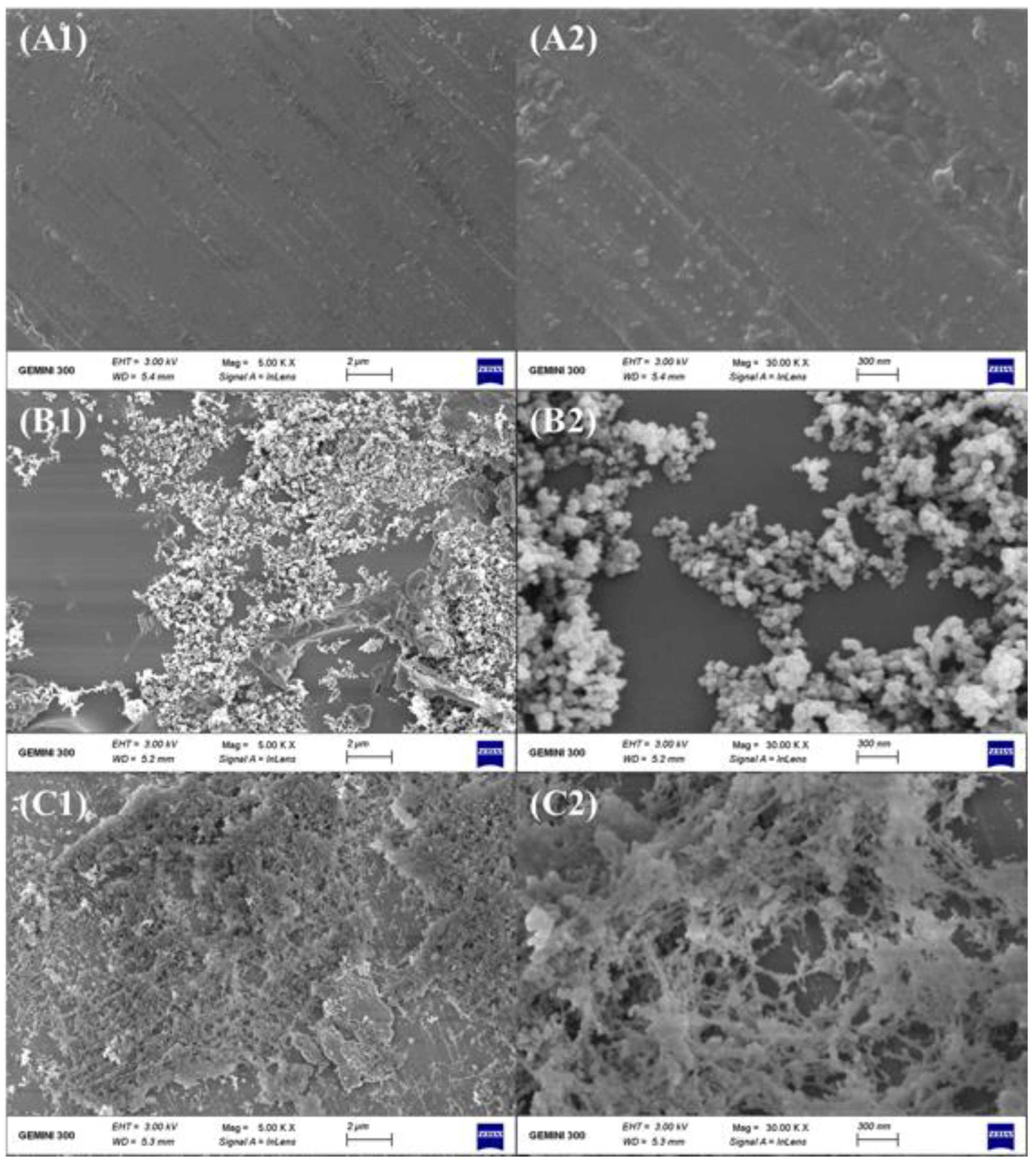 Energies 16 03333 g009