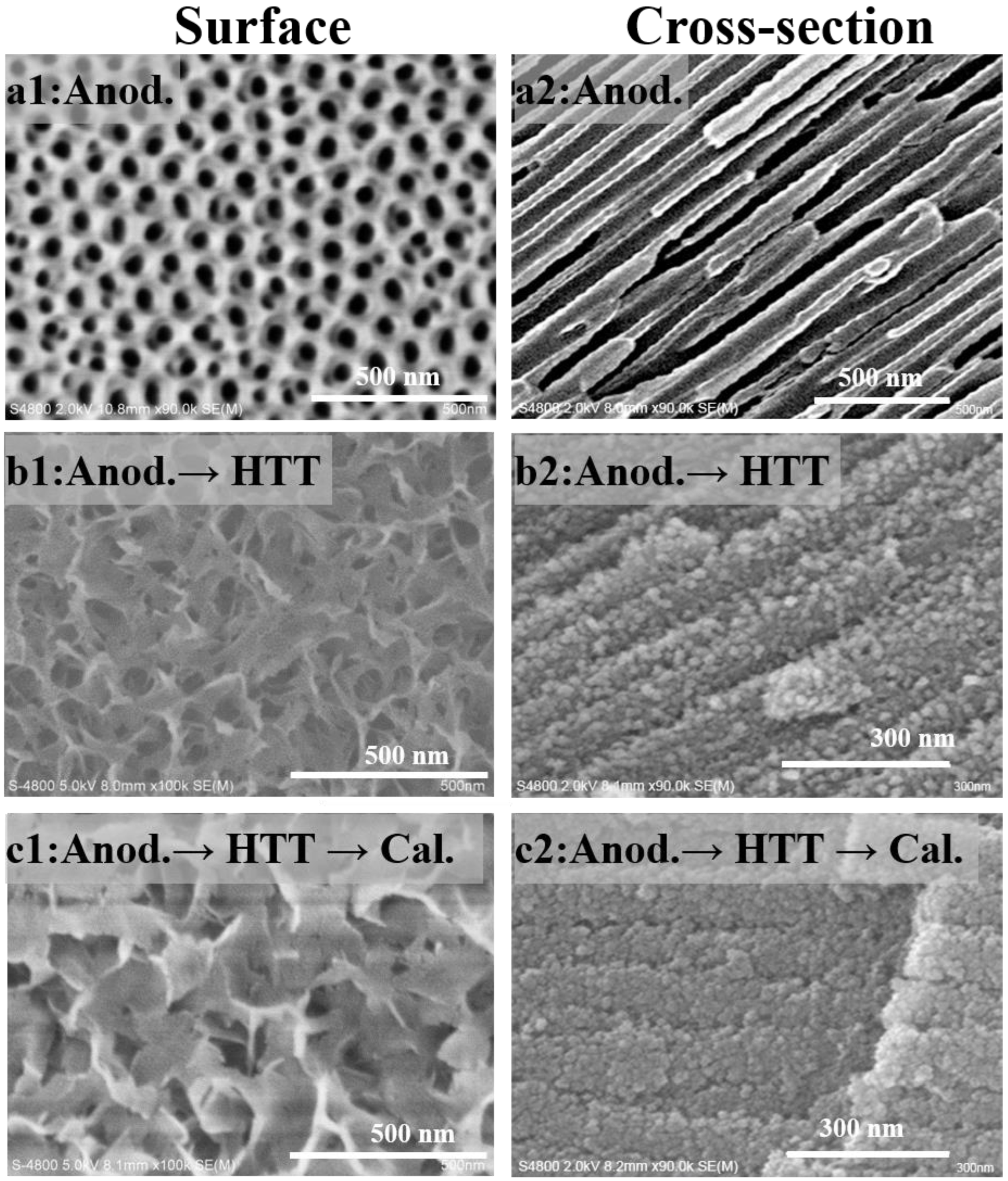 Energies 16 03426 g005