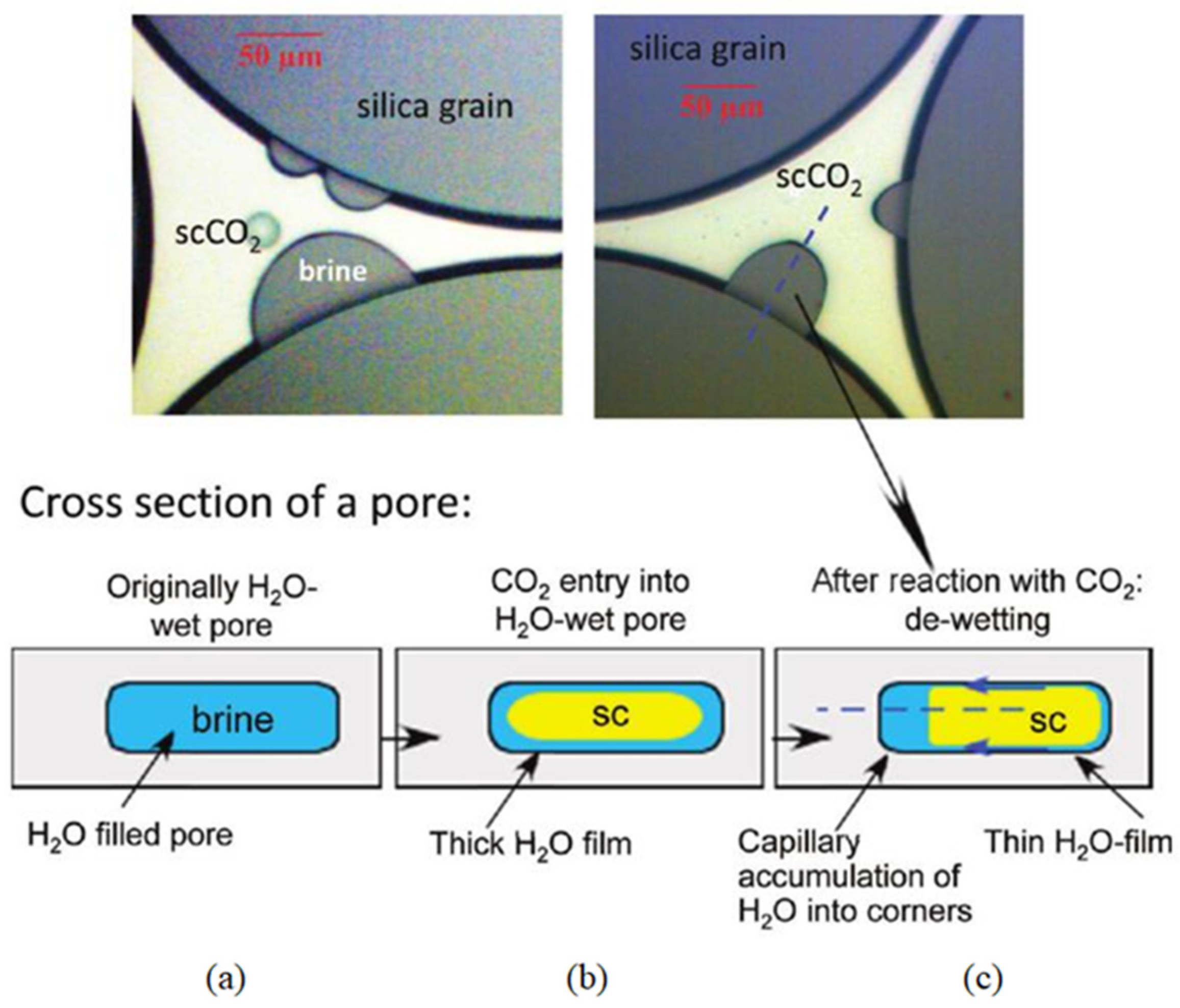 Energies 16 03484 g004 Energies 16 03484 g004
