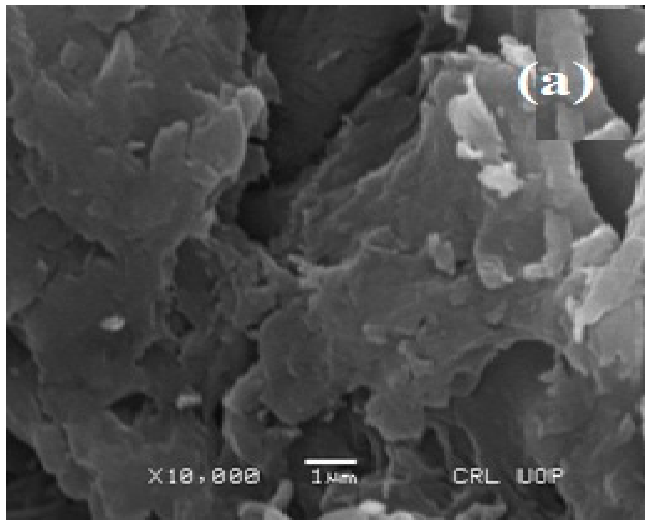 Energies 16 03731 g002a