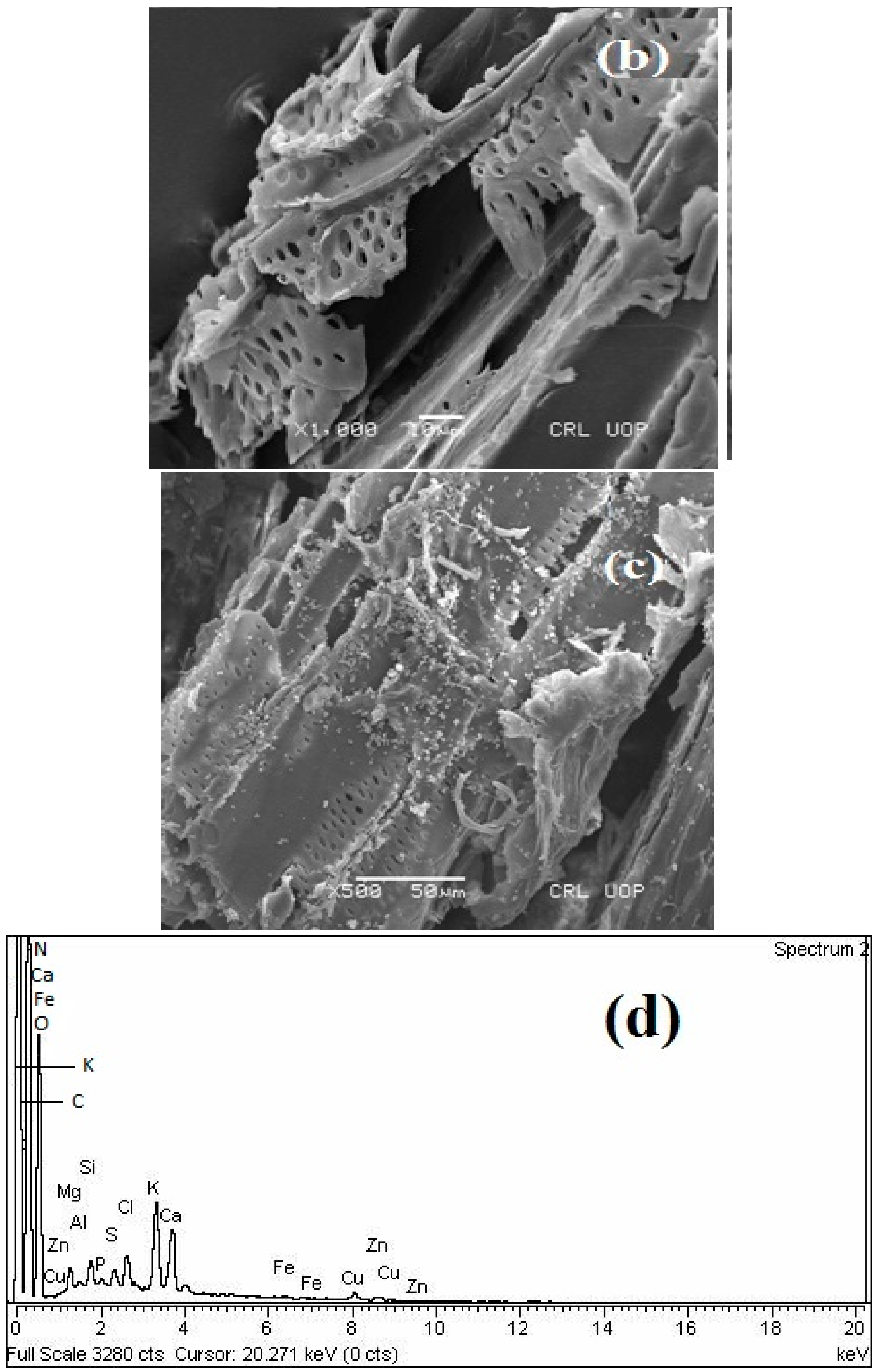 Energies 16 03731 g002b