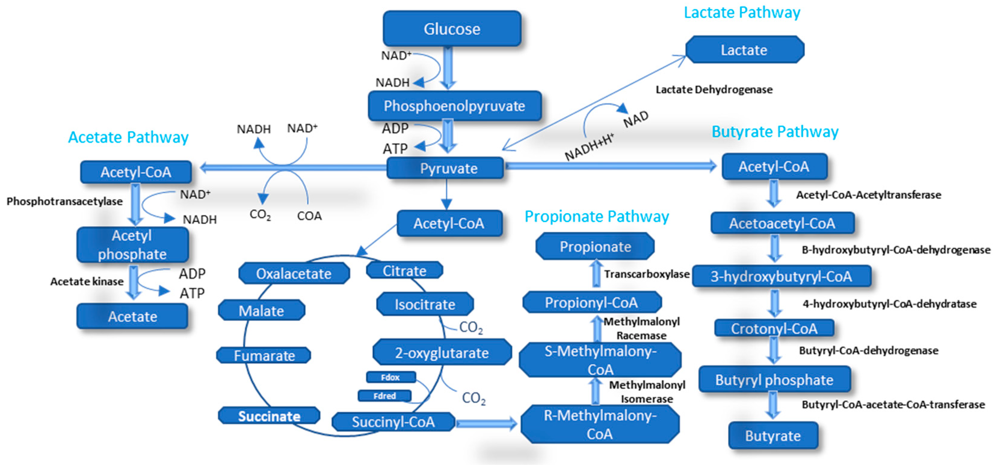 Energies 16 03873 g003