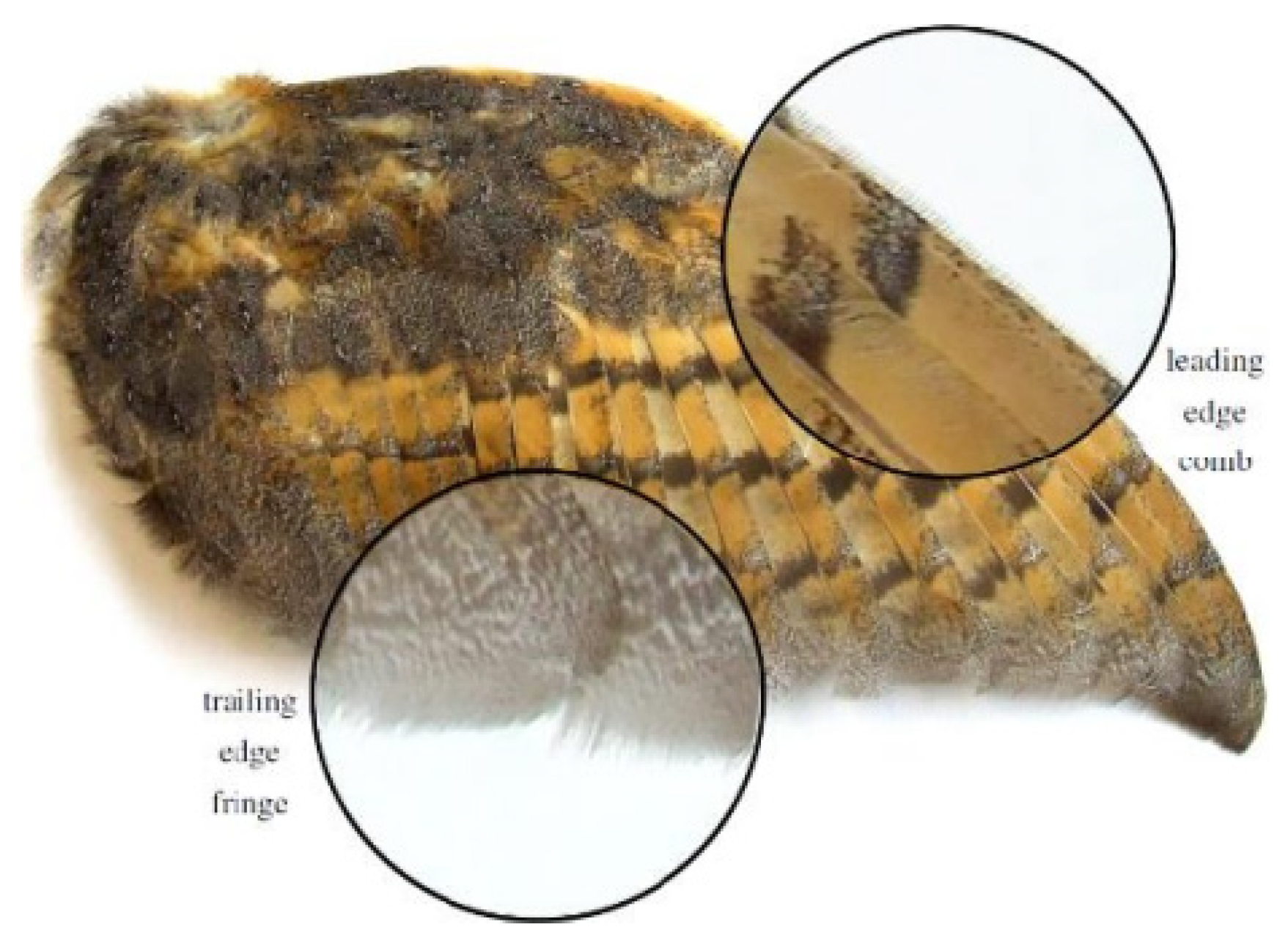 Energies 16 04331 g013