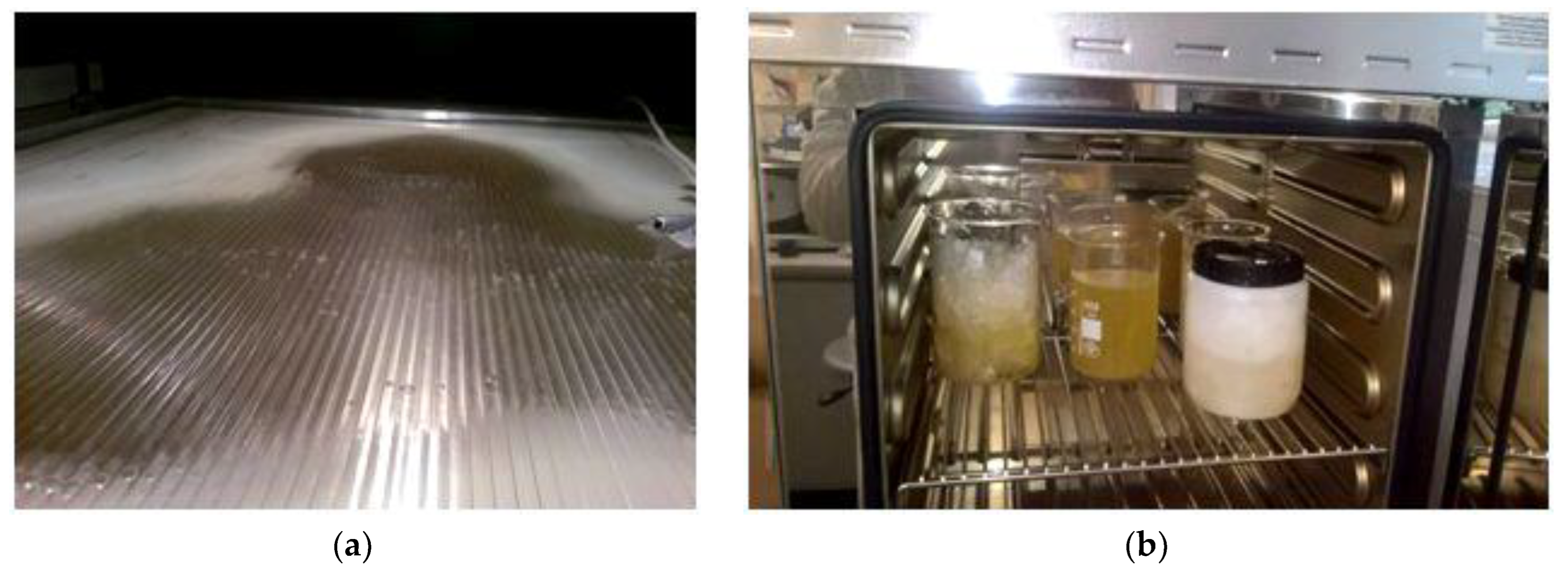 Energies 16 04442 g004