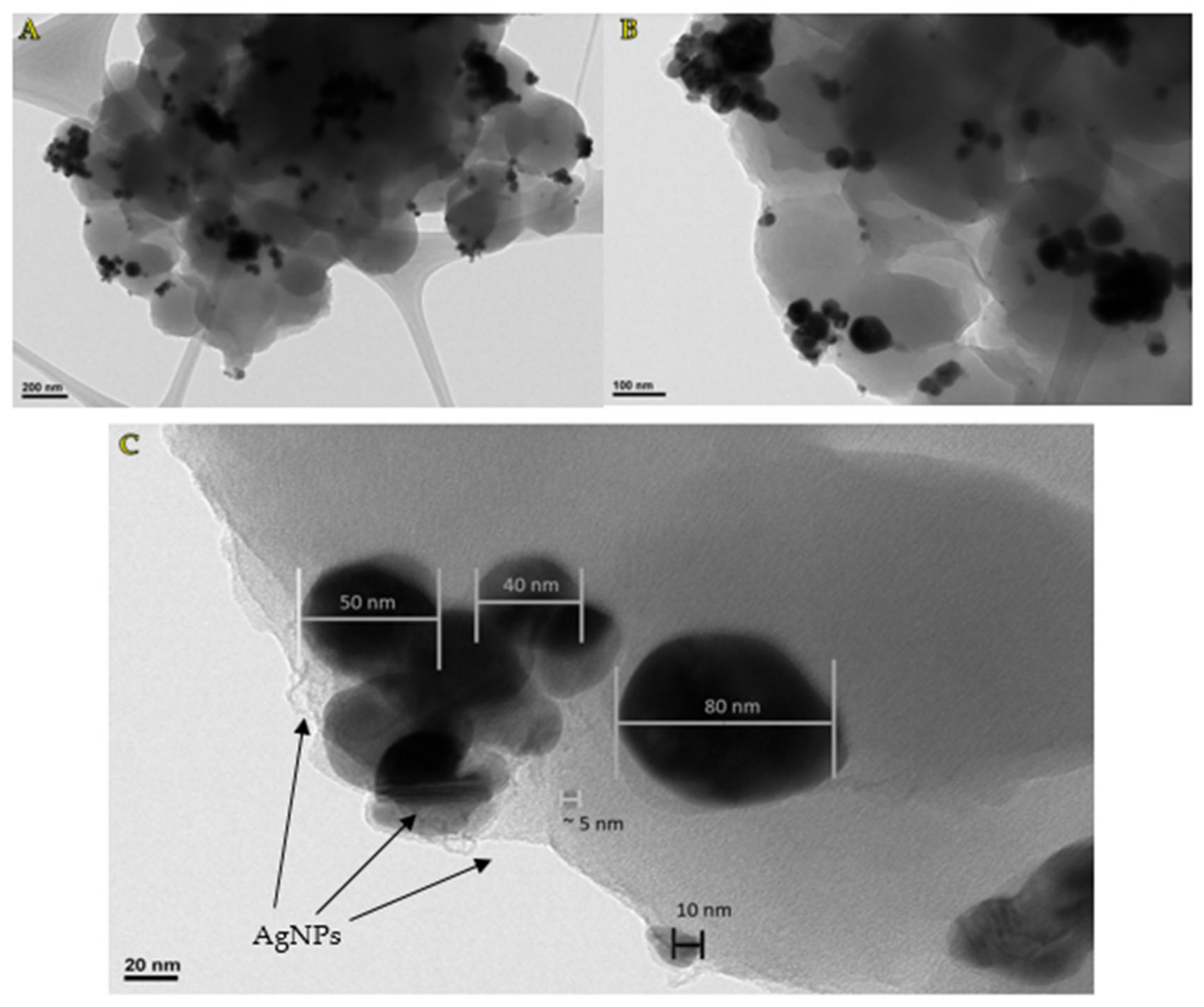 Energies 16 05053 g001 Energies 16 05053 g001