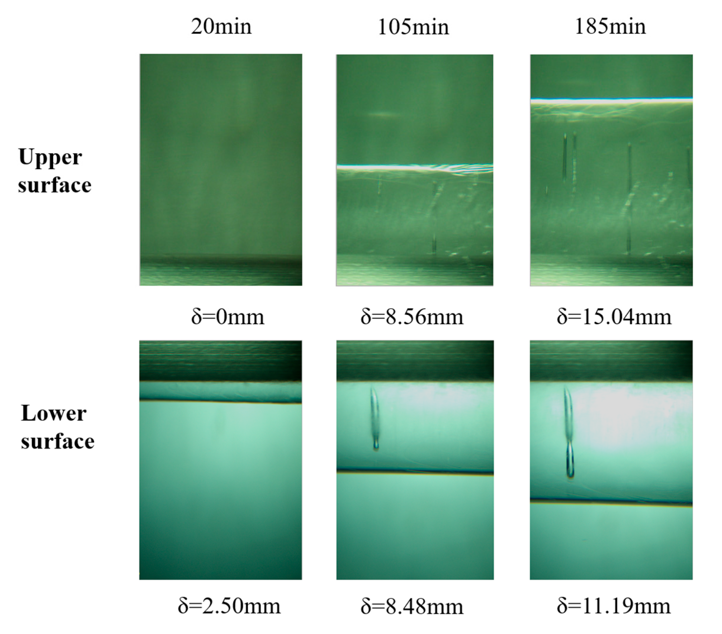 Energies 16 05511 g005