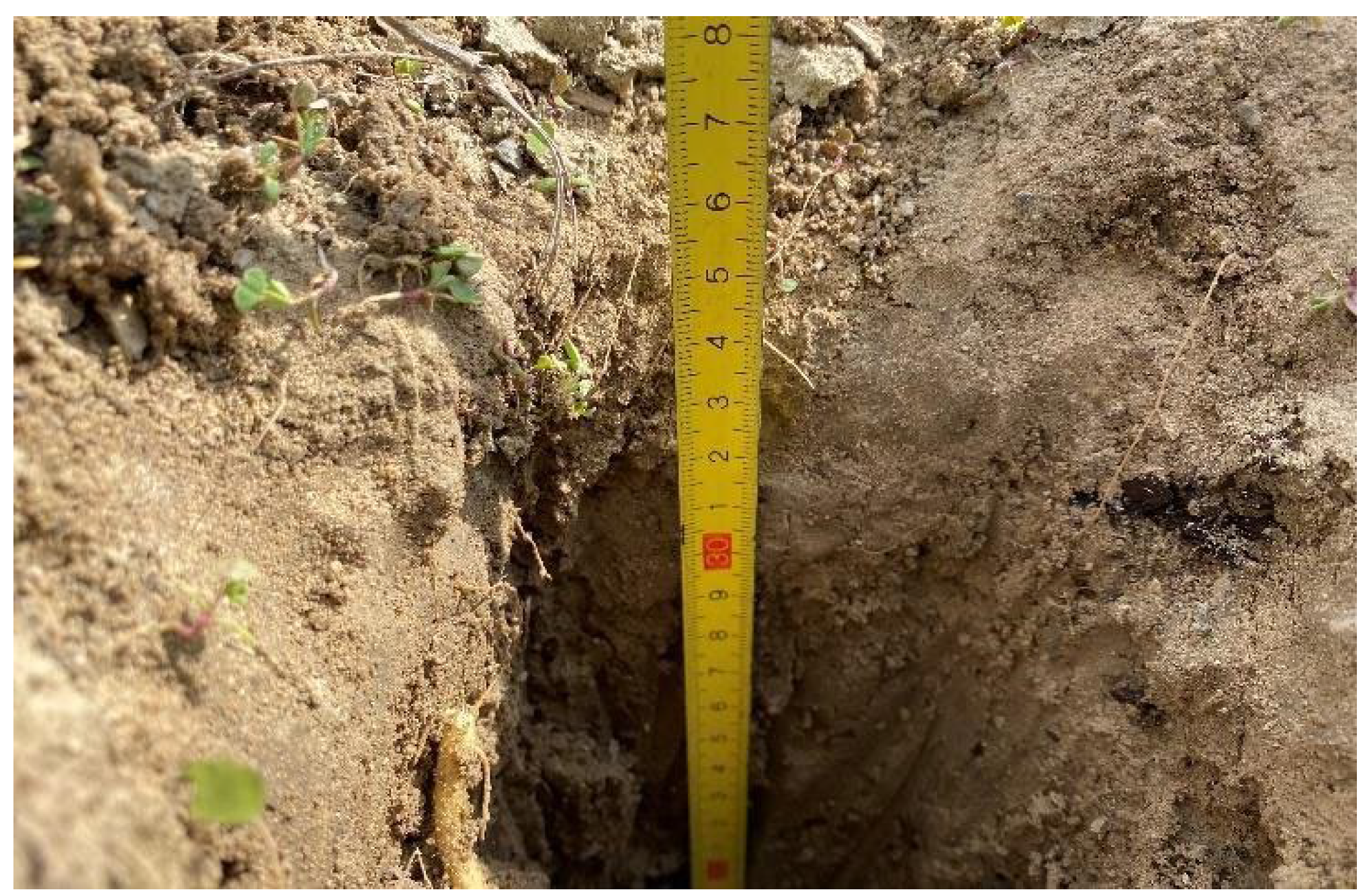 Soil can store gigatons of carbon, and Yard Stick wants to measure