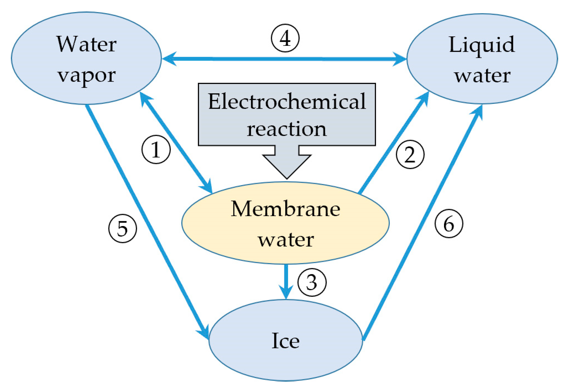 Energies 16 06081 g002