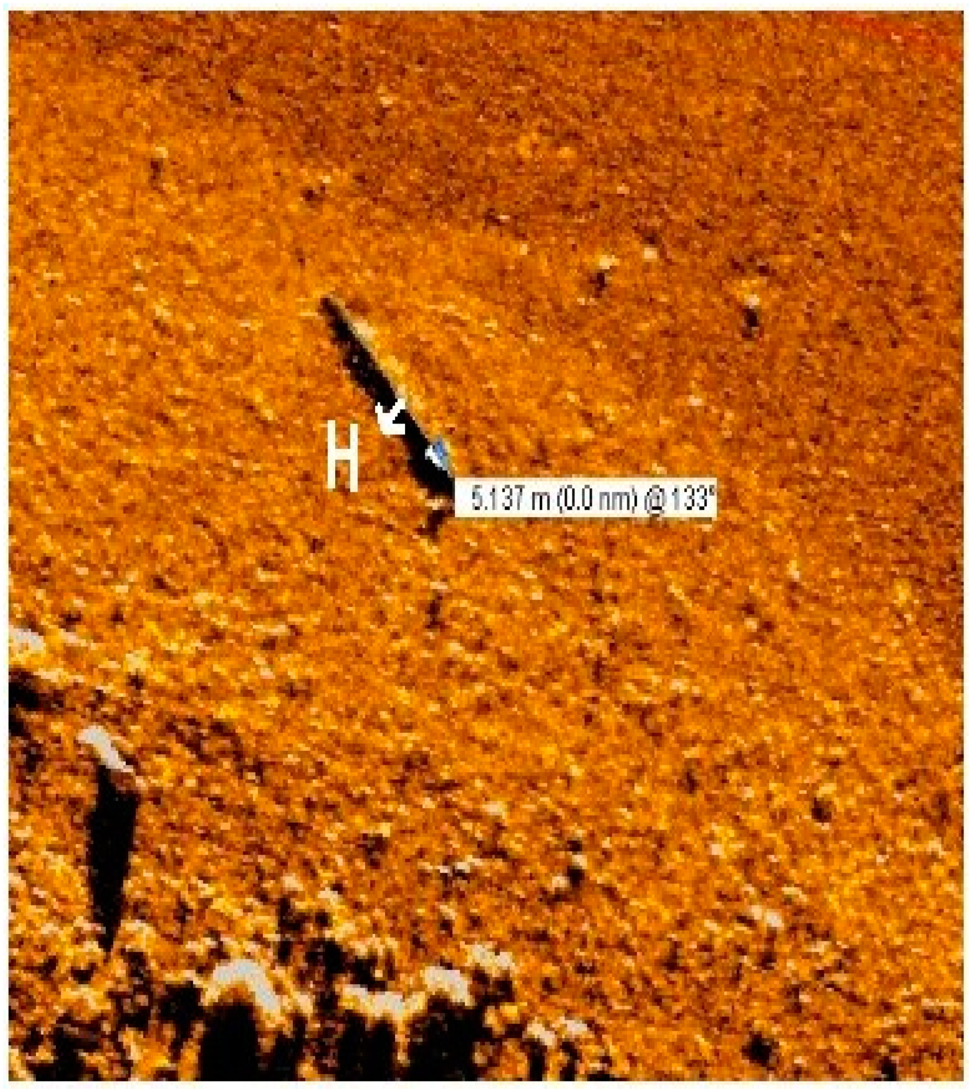 Energies 16 06088 g006