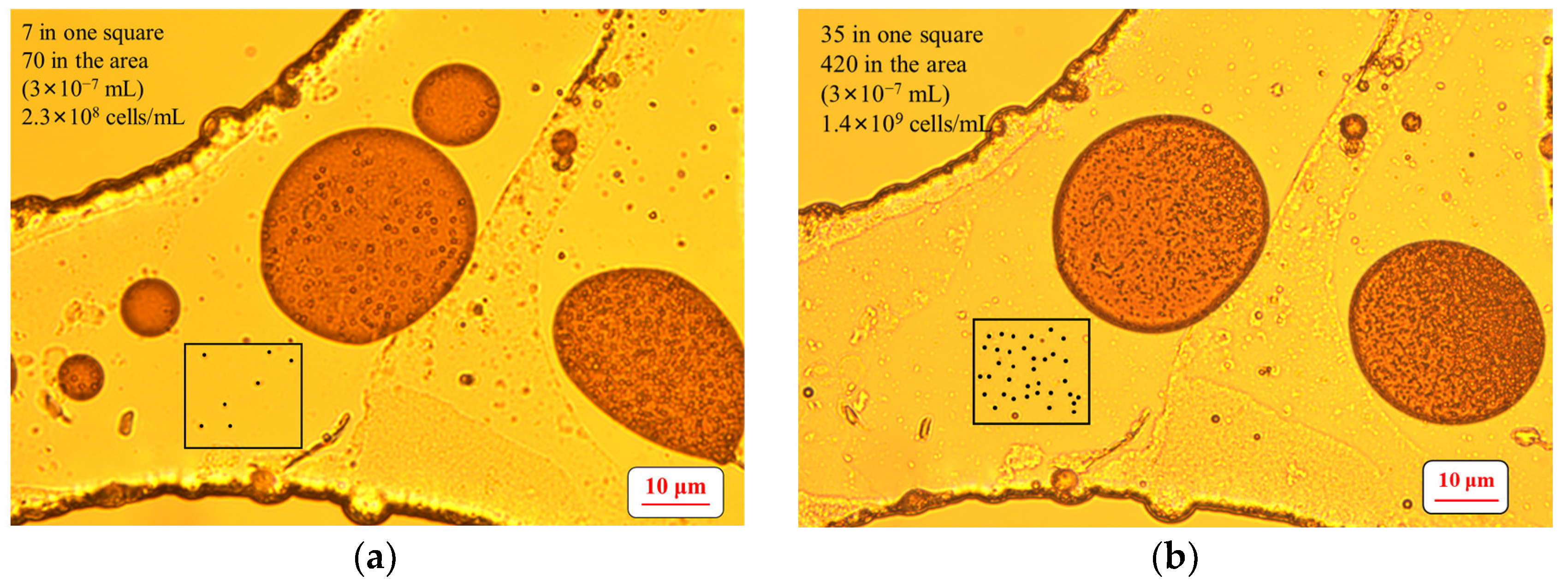 Energies 16 06854 g005