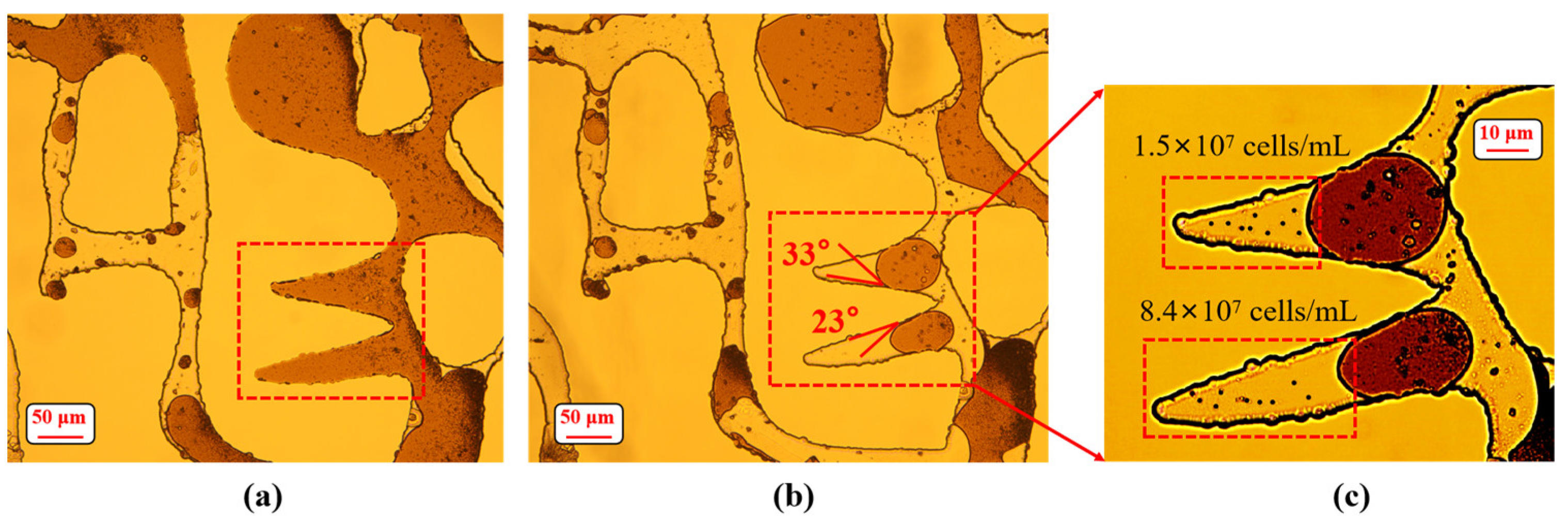 Energies 16 06854 g014