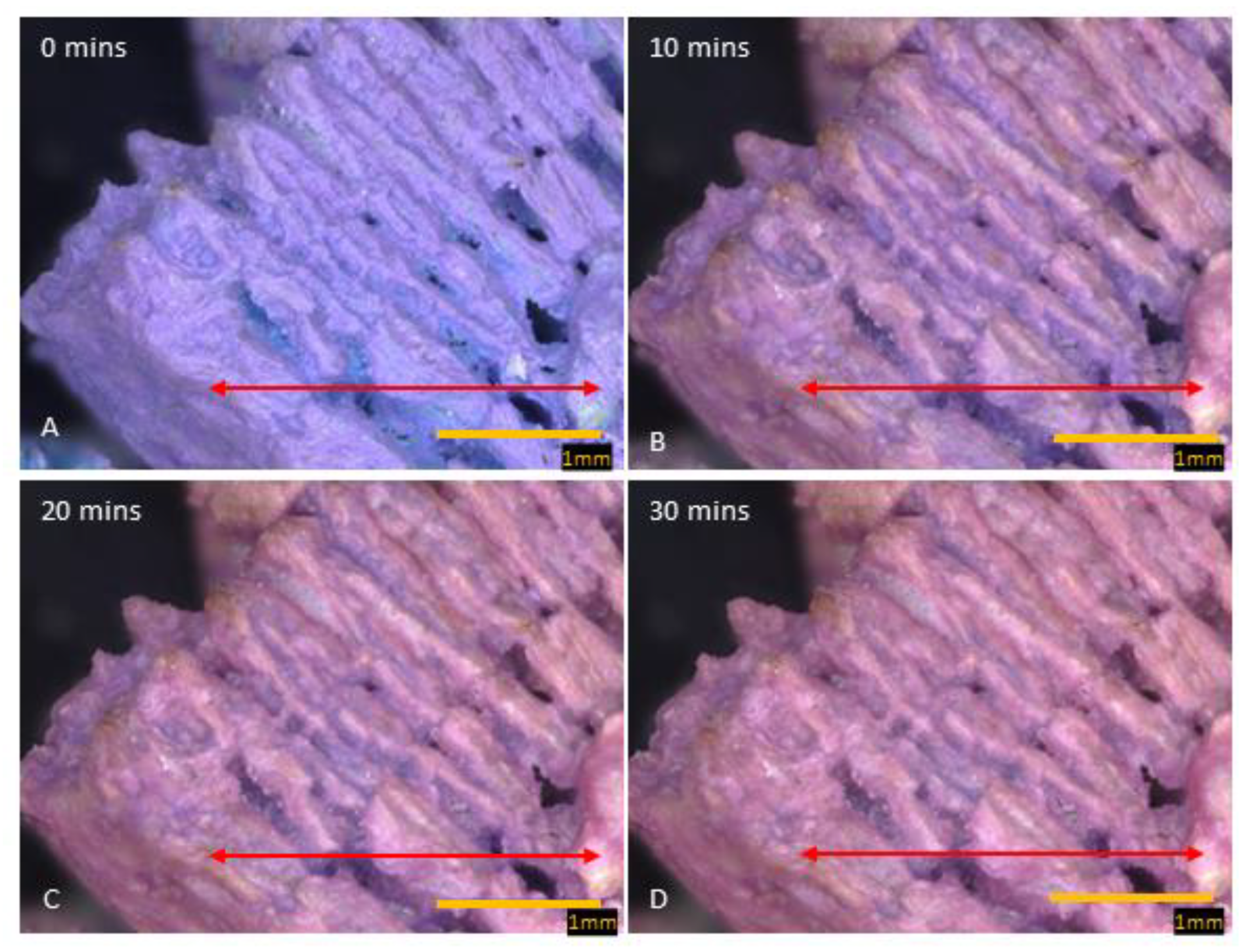 Energies 16 07225 g004