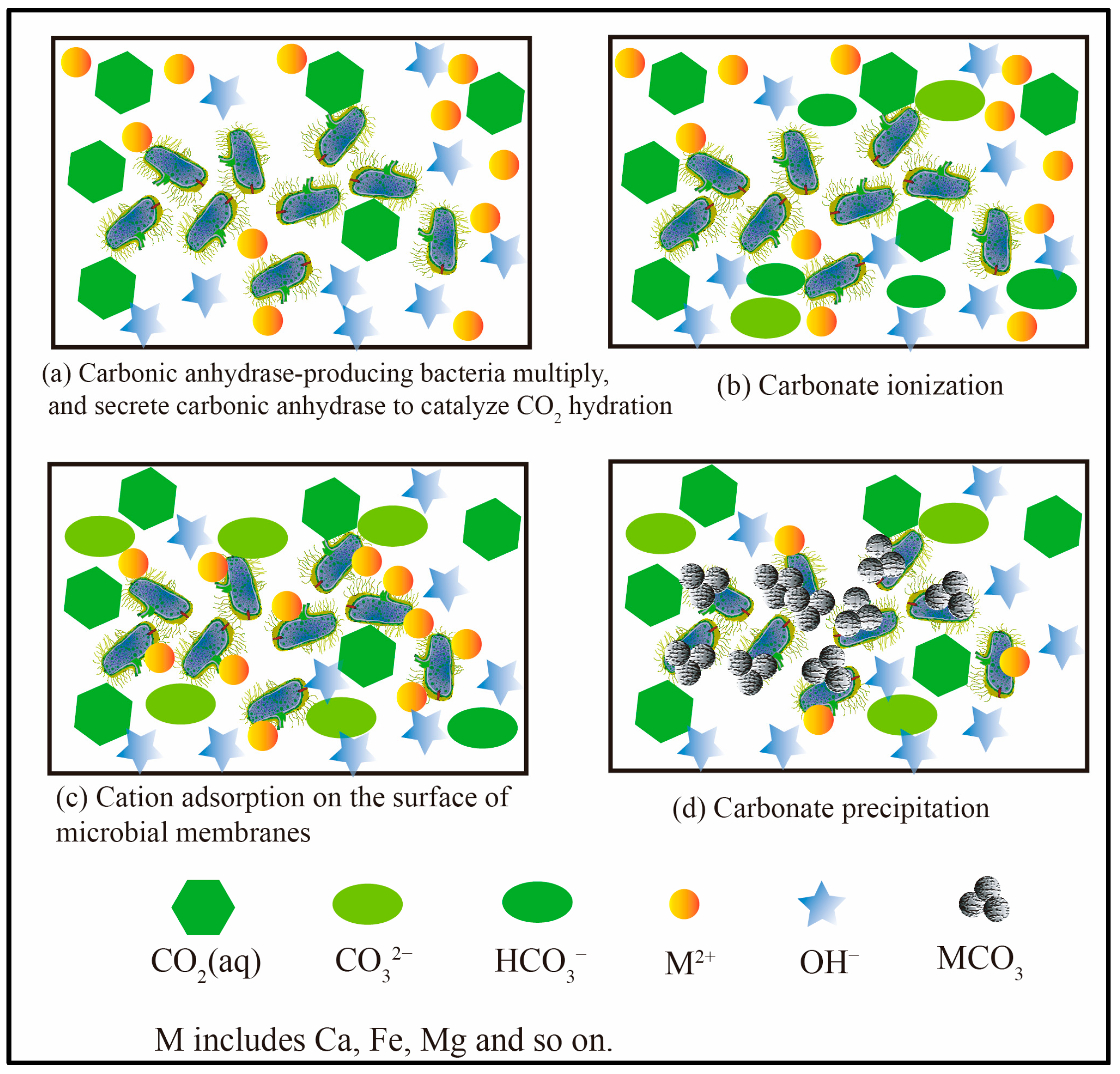 Energies 16 07571 g011
