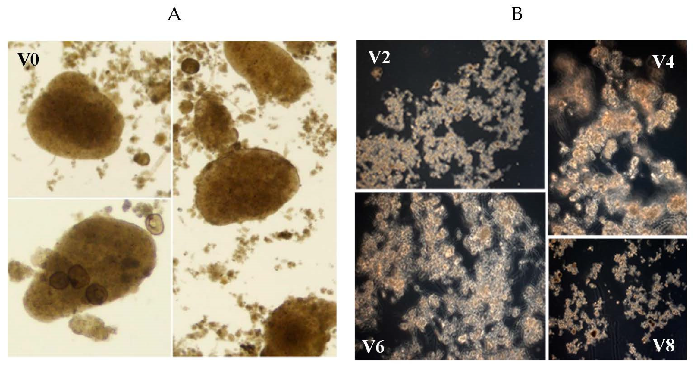 Energies 17 00335 g005