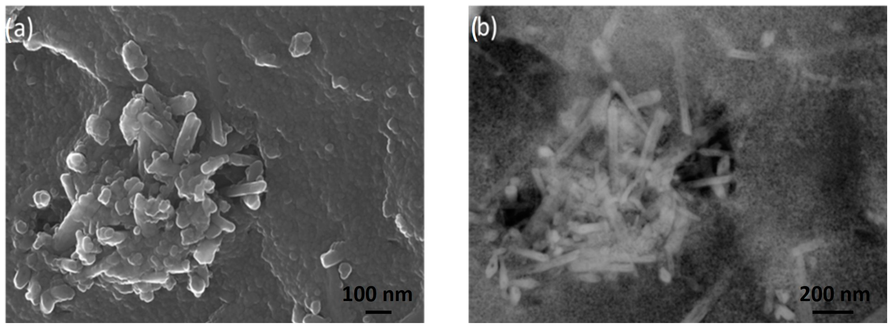 Energies 17 01035 g004
