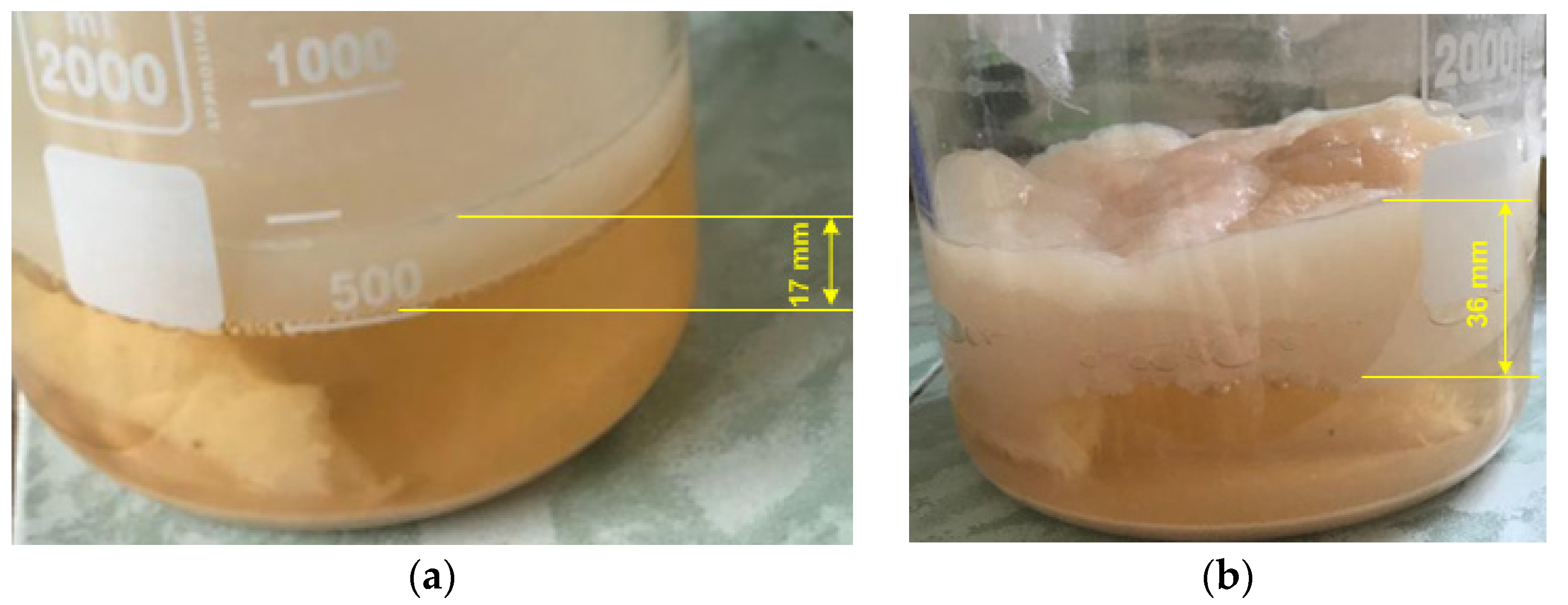 Energies 17 01344 g005