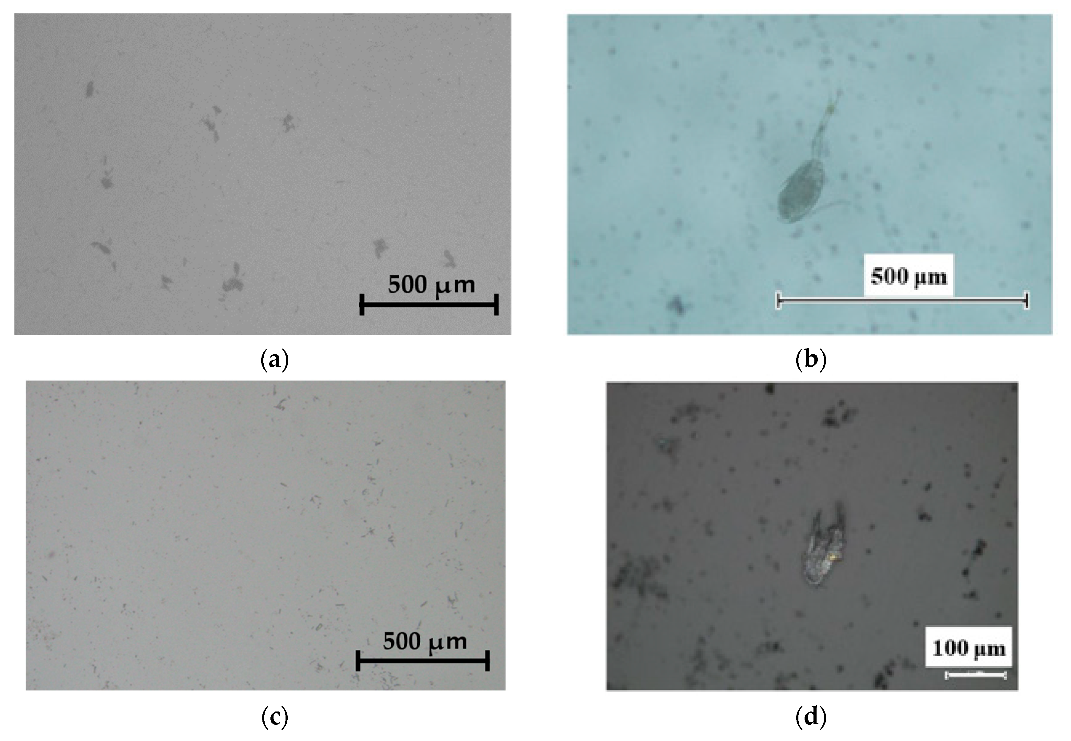 Energies 17 01572 g008 Energies 17 01572 g008