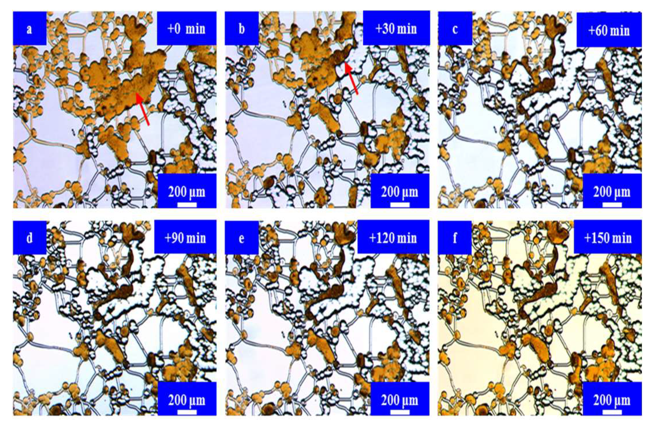 Energies 17 01879 g011