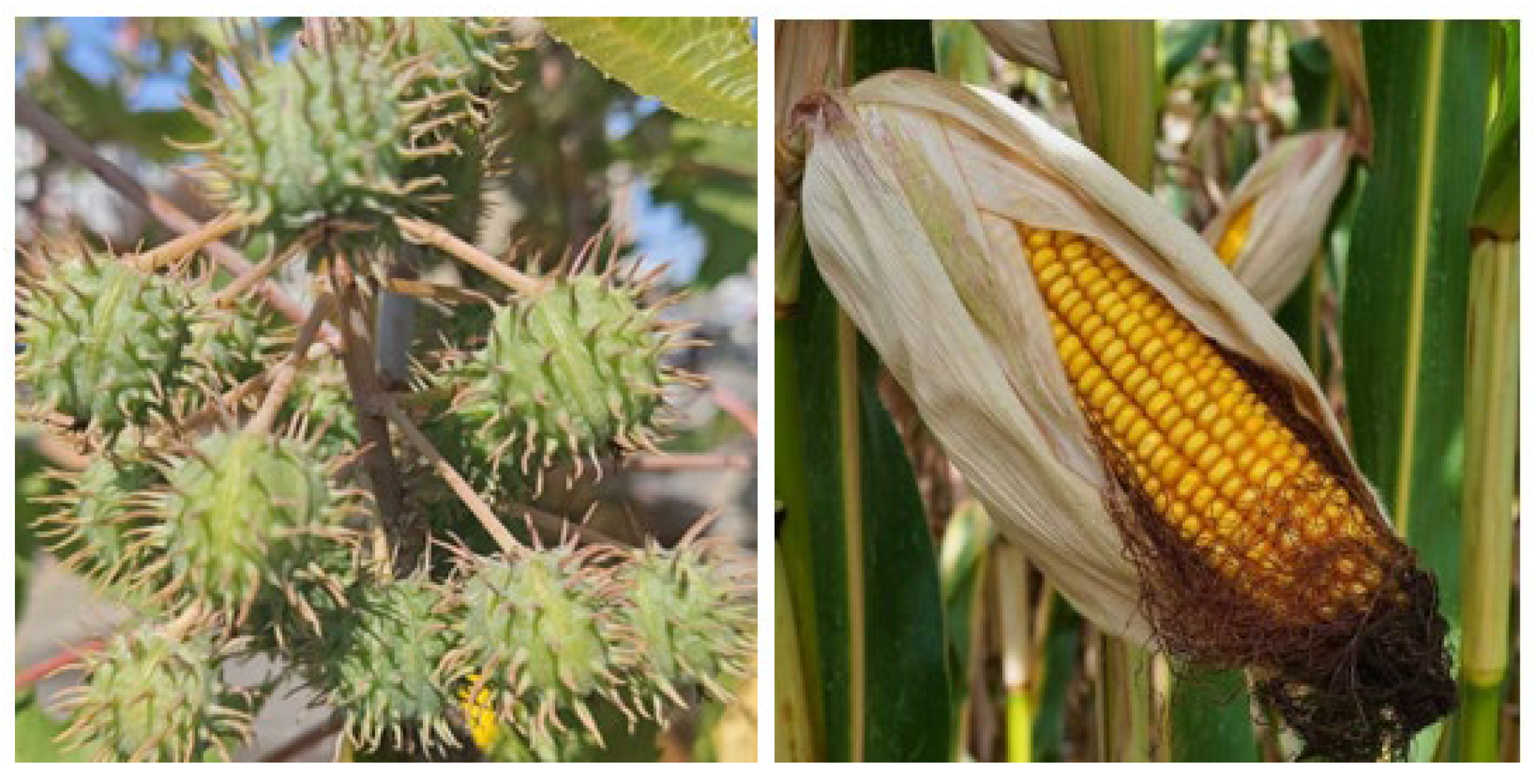 Energies 17 03349 g001