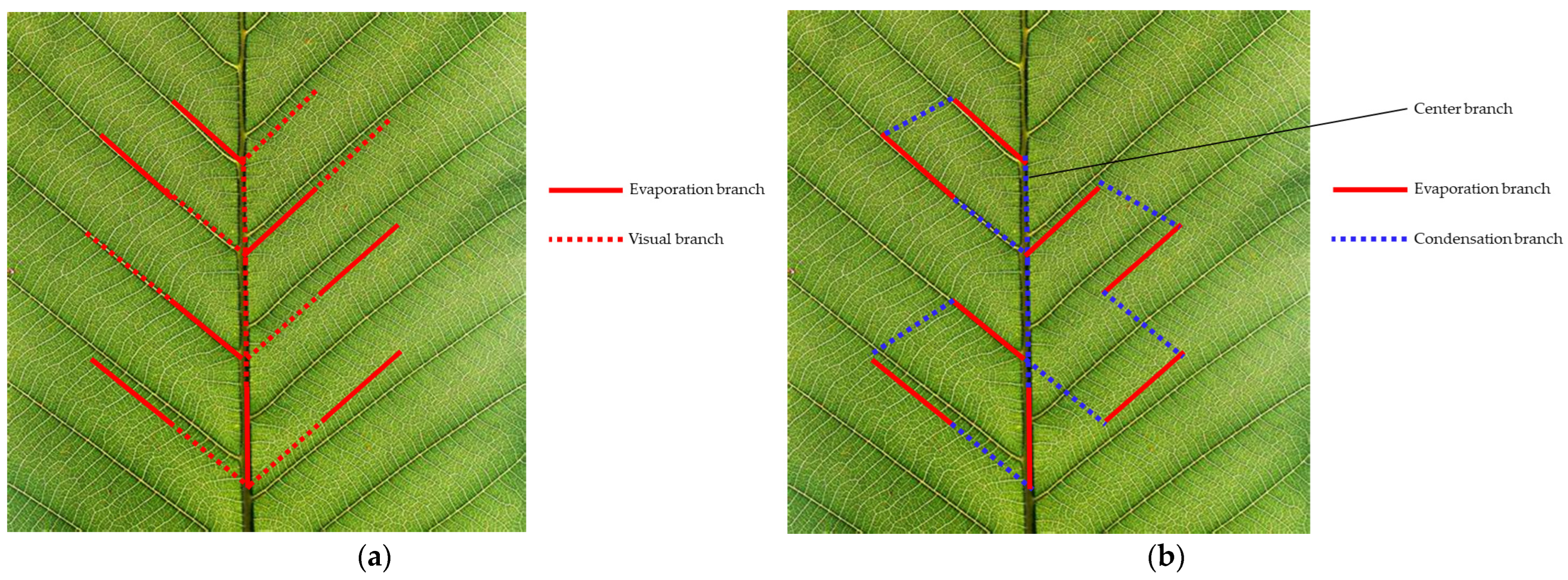 Energies 17 03873 g012