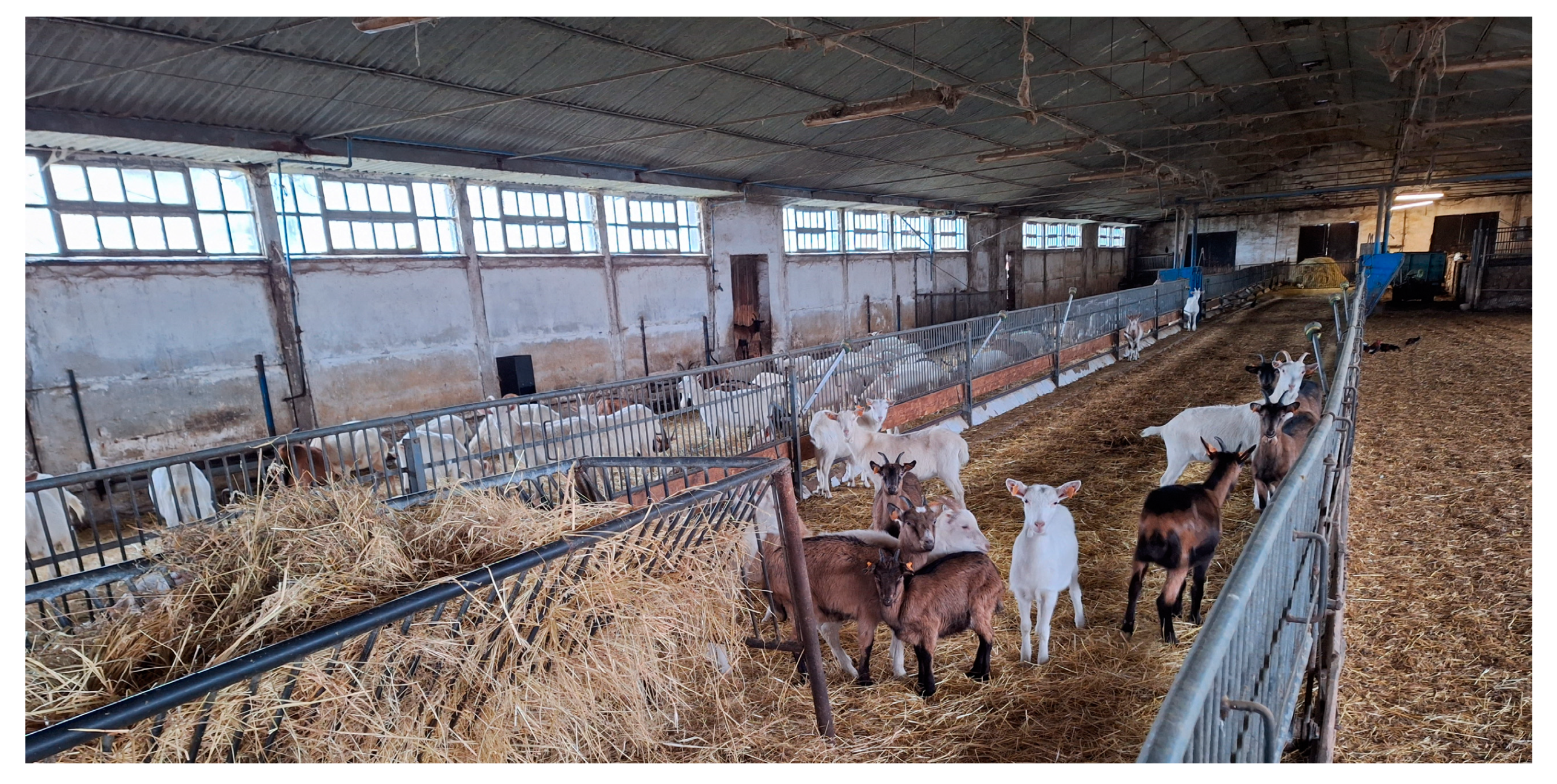 Energies 17 03967 g001 Energies 17 03967 g001