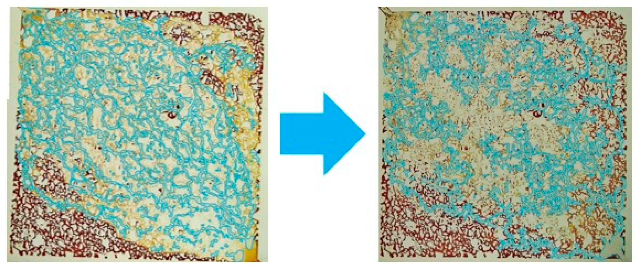 Energies 17 04783 g006