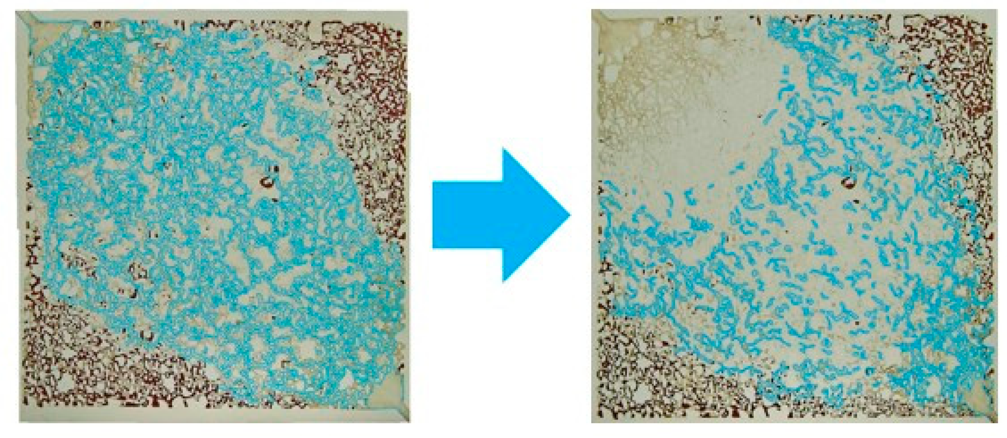 Energies 17 04783 g009