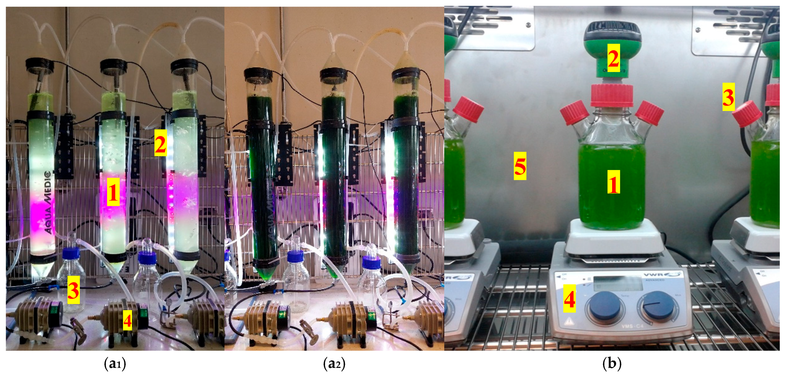 Energies 17 05287 g002
